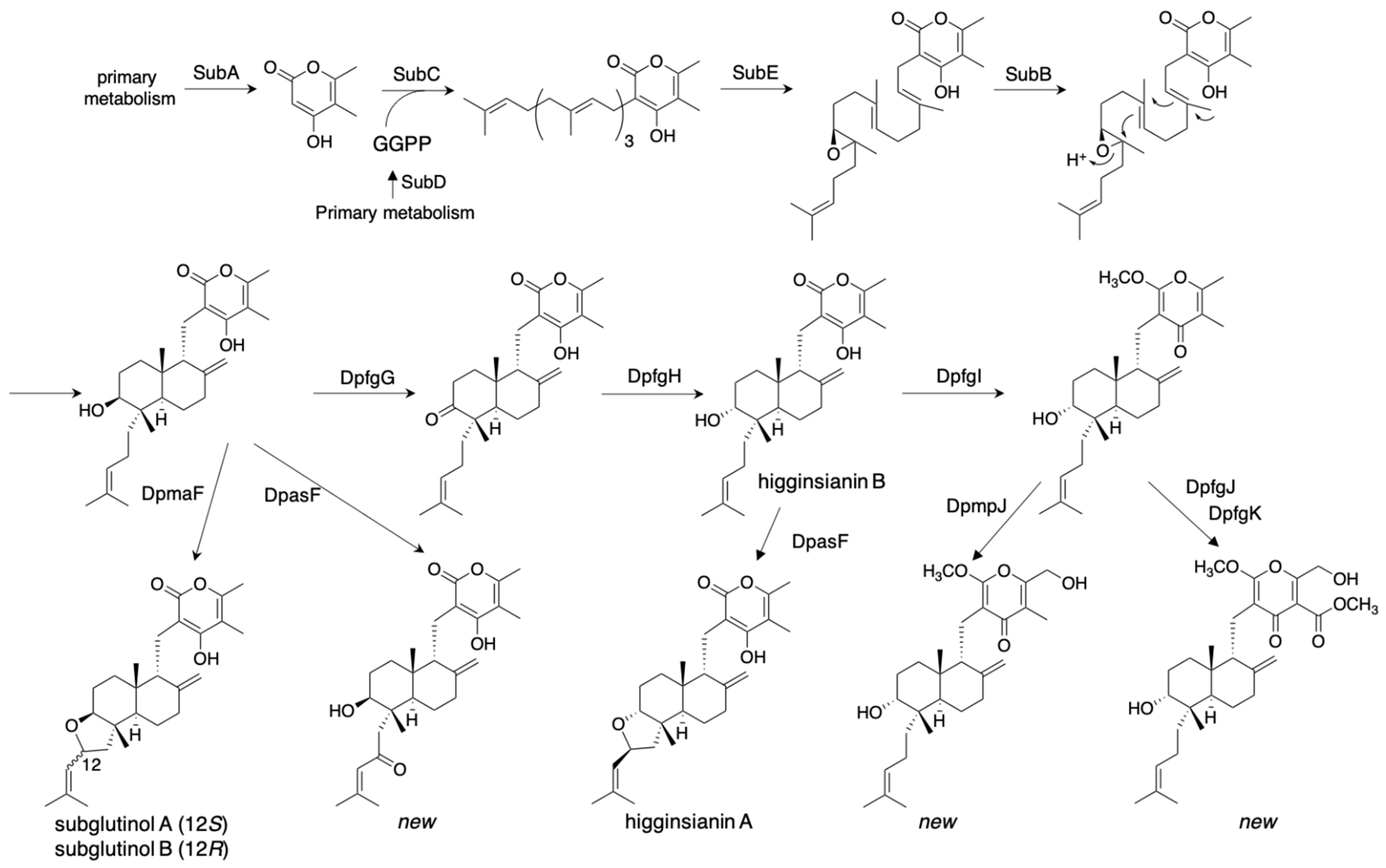 Jof 07 00486 g008 Jof 07 00486 g008