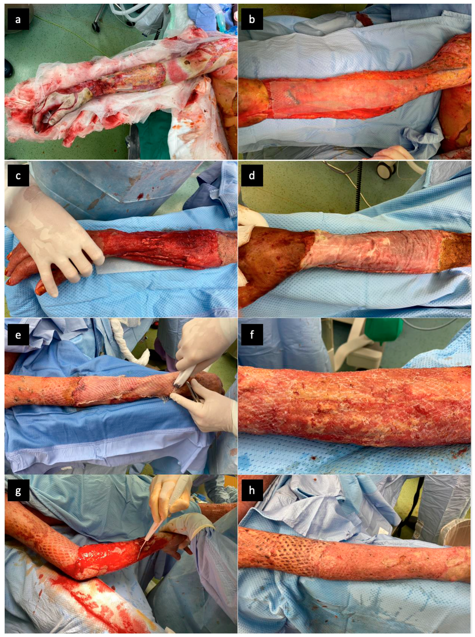 Jof 07 00487 g001 Jof 07 00487 g001