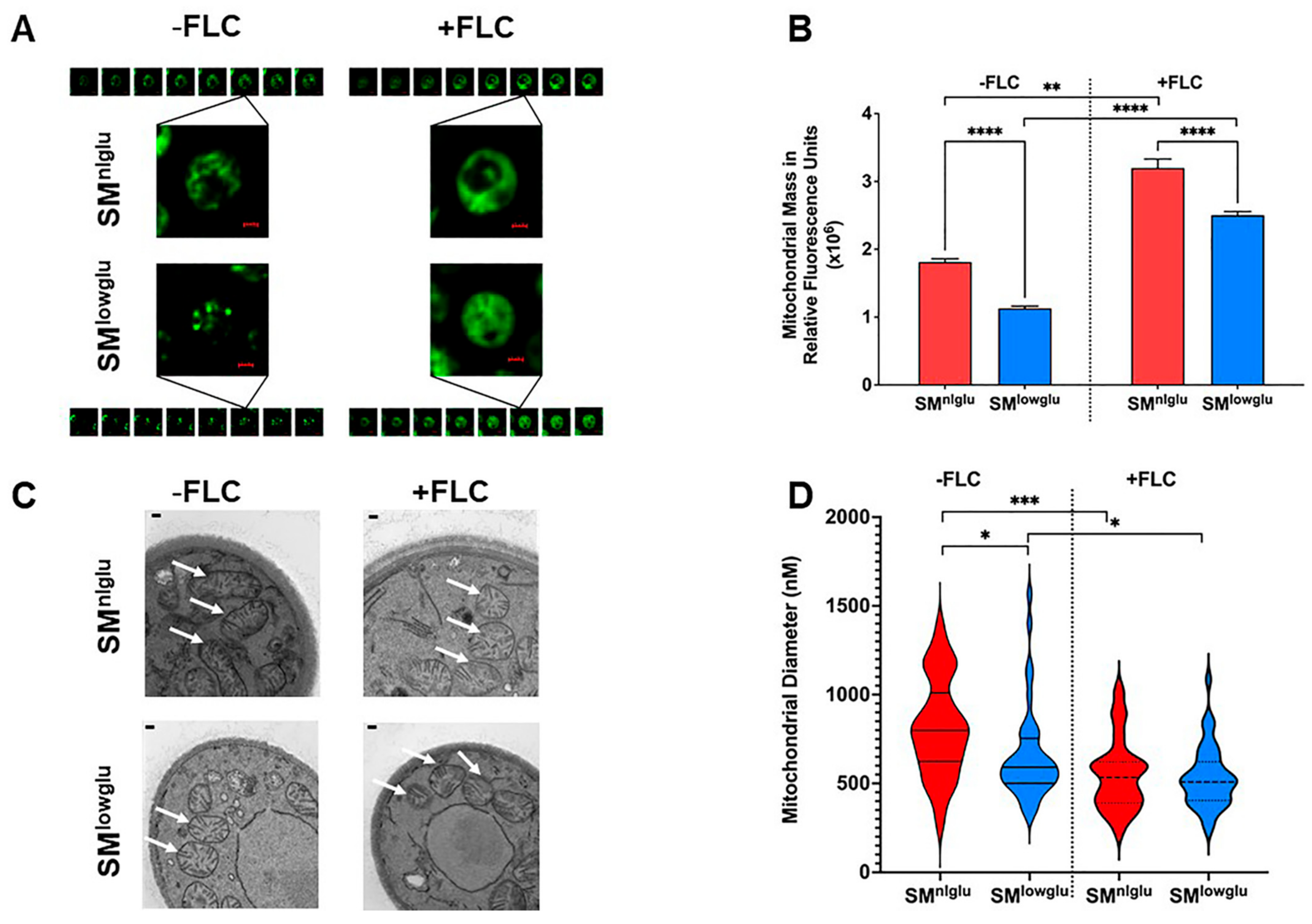 Jof 07 00489 g003 Jof 07 00489 g003