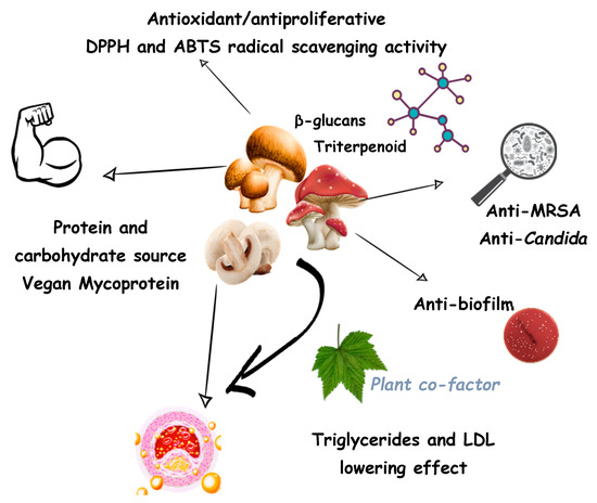 Jof Free Full Text Mycopharmaceuticals And Nutraceuticals Promising Agents To Improve Human Well Being And Life Quality Html