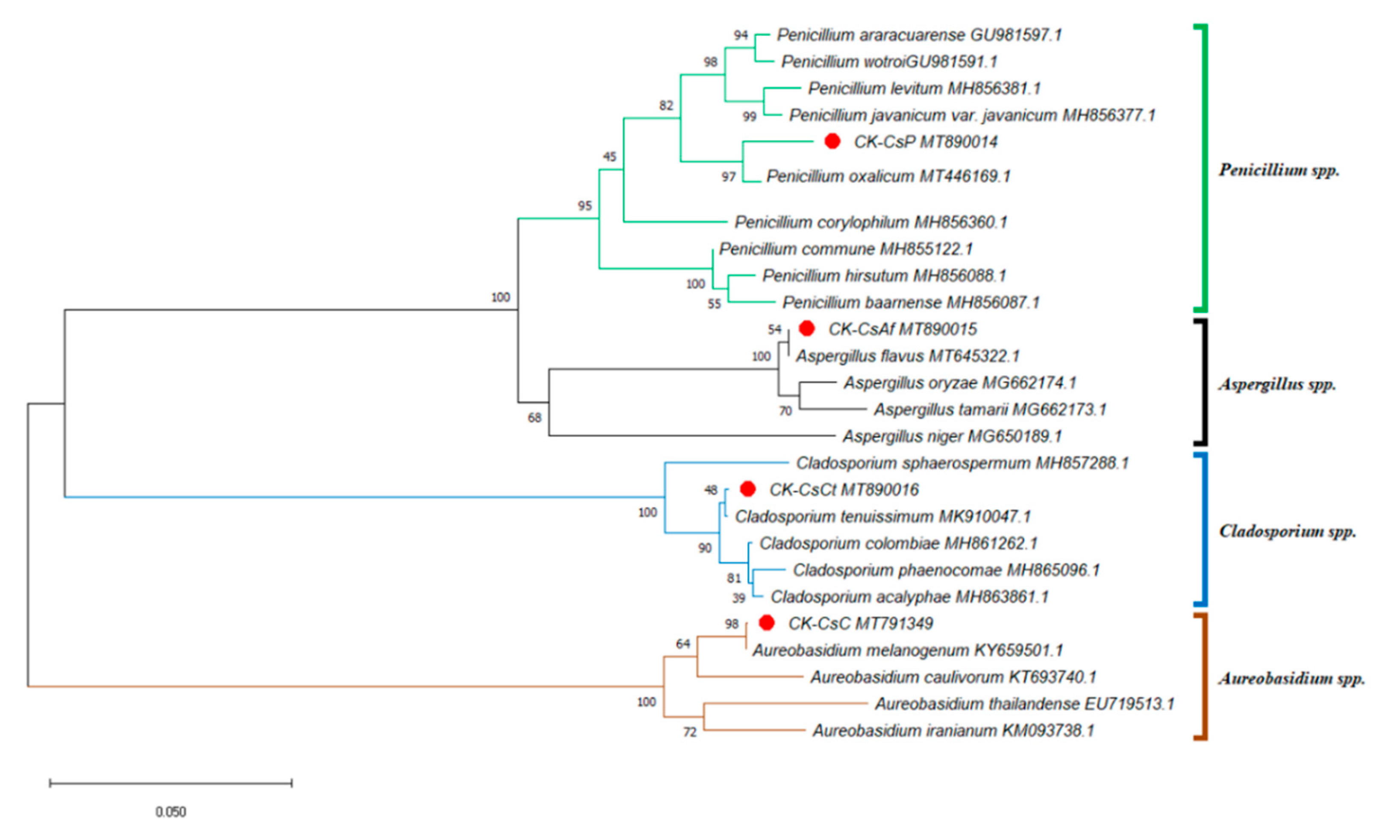 Jof 07 00508 g001 550