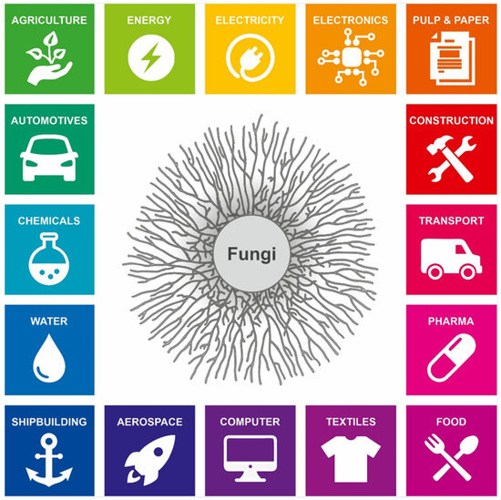 Jof Free Full Text Turning Inside Out Filamentous Fungal Secretion And Its Applications In Biotechnology Agriculture And The Clinic Html