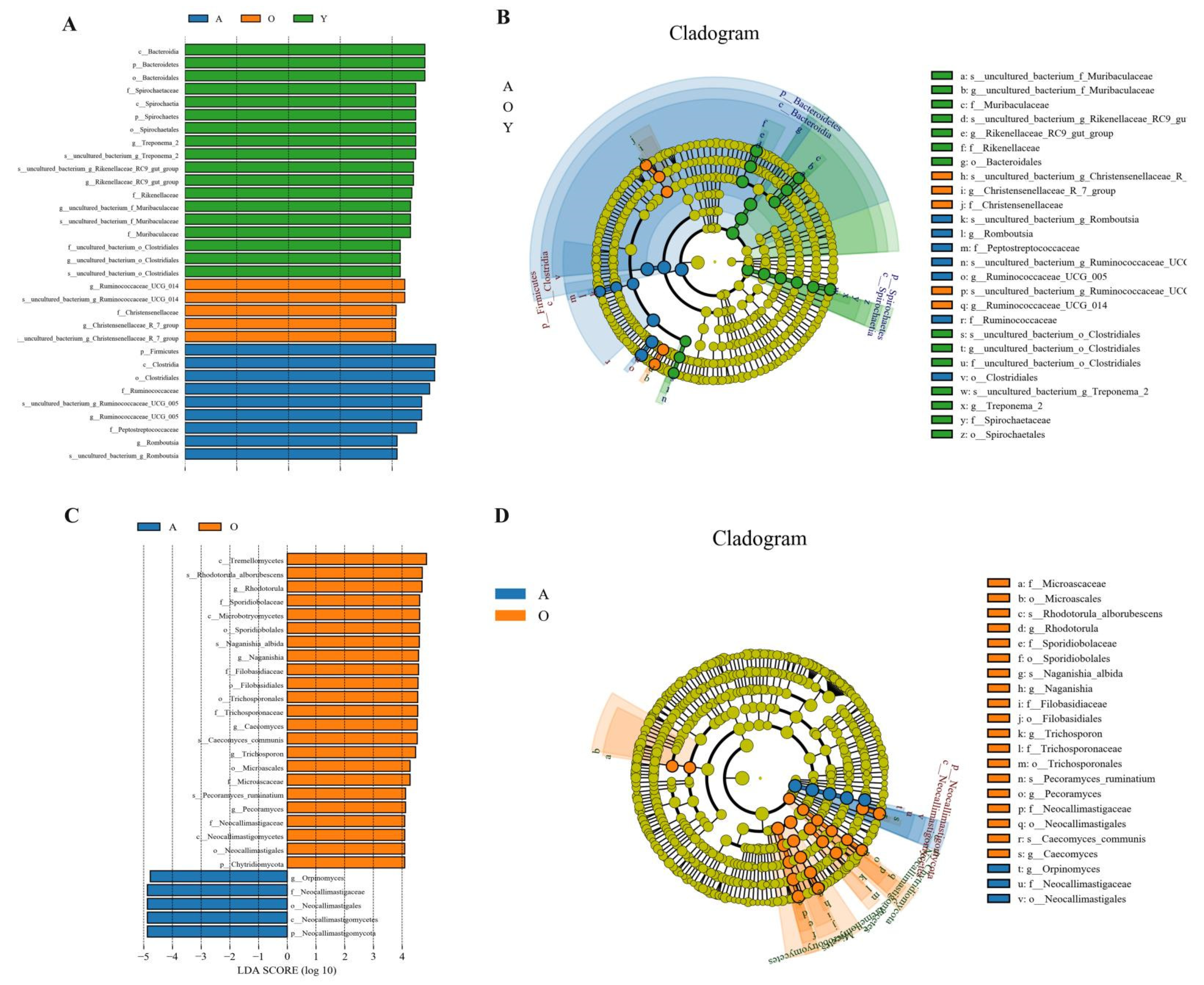 Jof Free Full Text Longitudinal Characterization Of The Gut Bacterial And Fungal Communities In Yaks Html Jof Free Full Text Longitudinal Characterization Of The Gut Bacterial And Fungal Communities In Yaks Html
