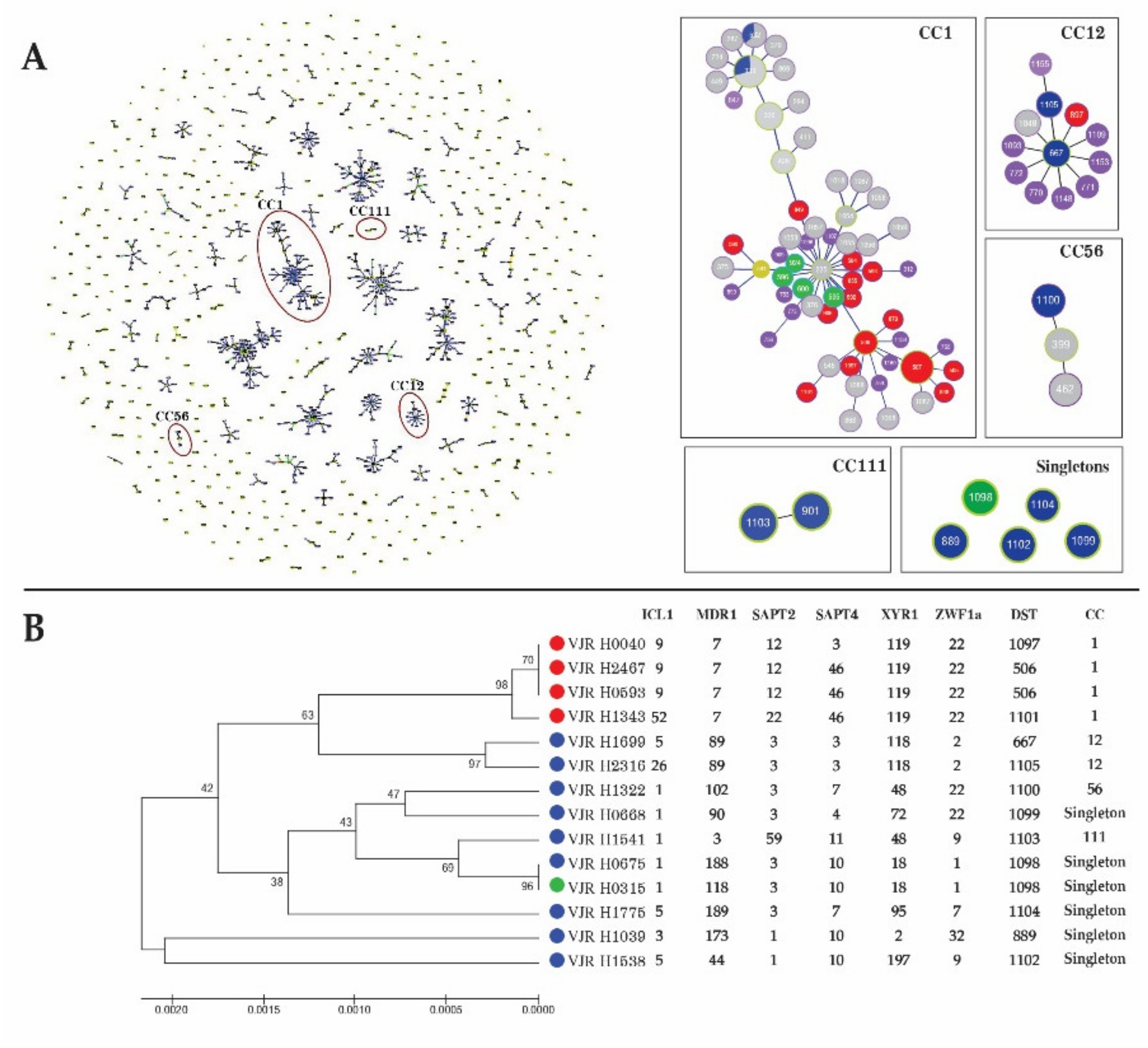 Jof 07 00577 g002 Jof 07 00577 g002