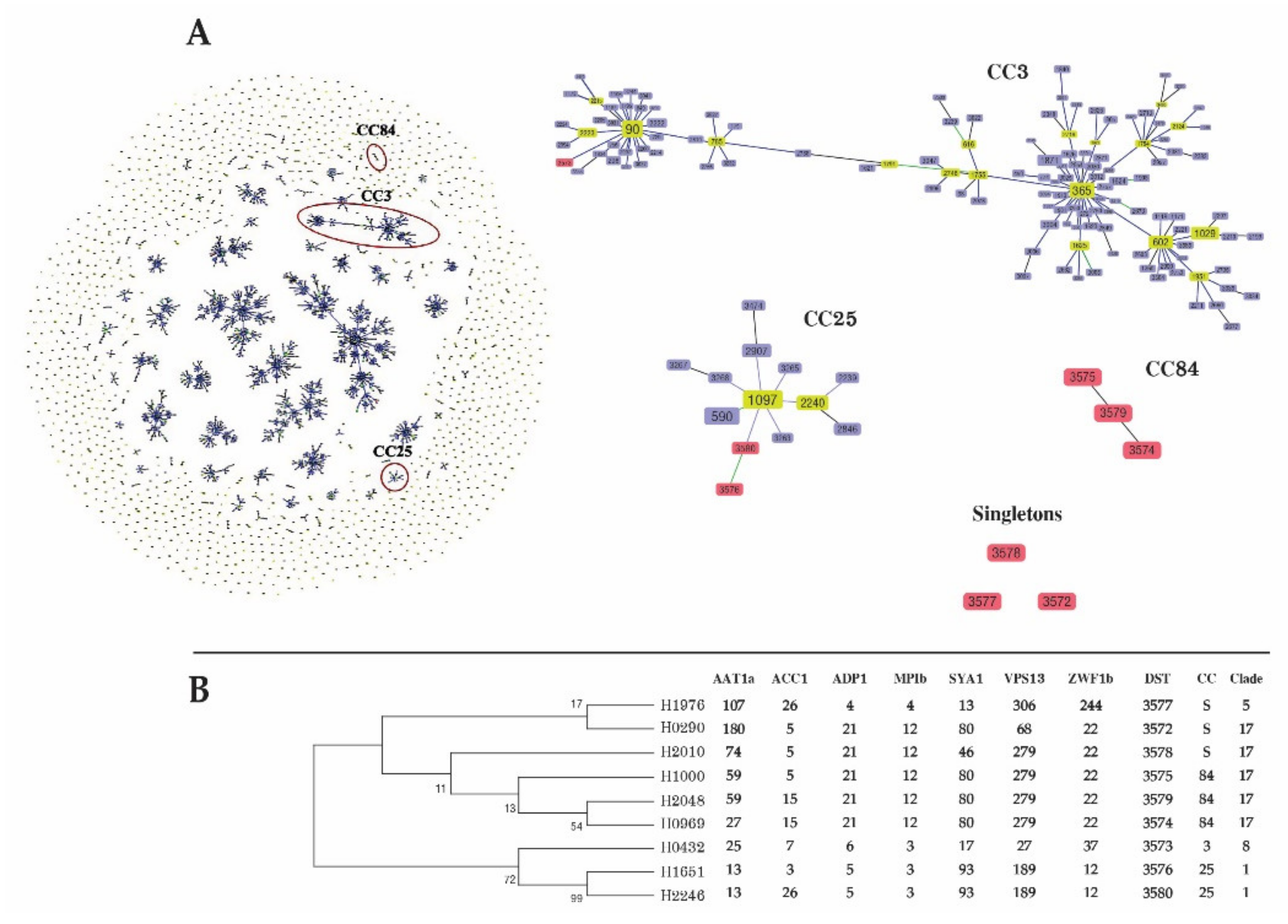 Jof 07 00577 g003 Jof 07 00577 g003