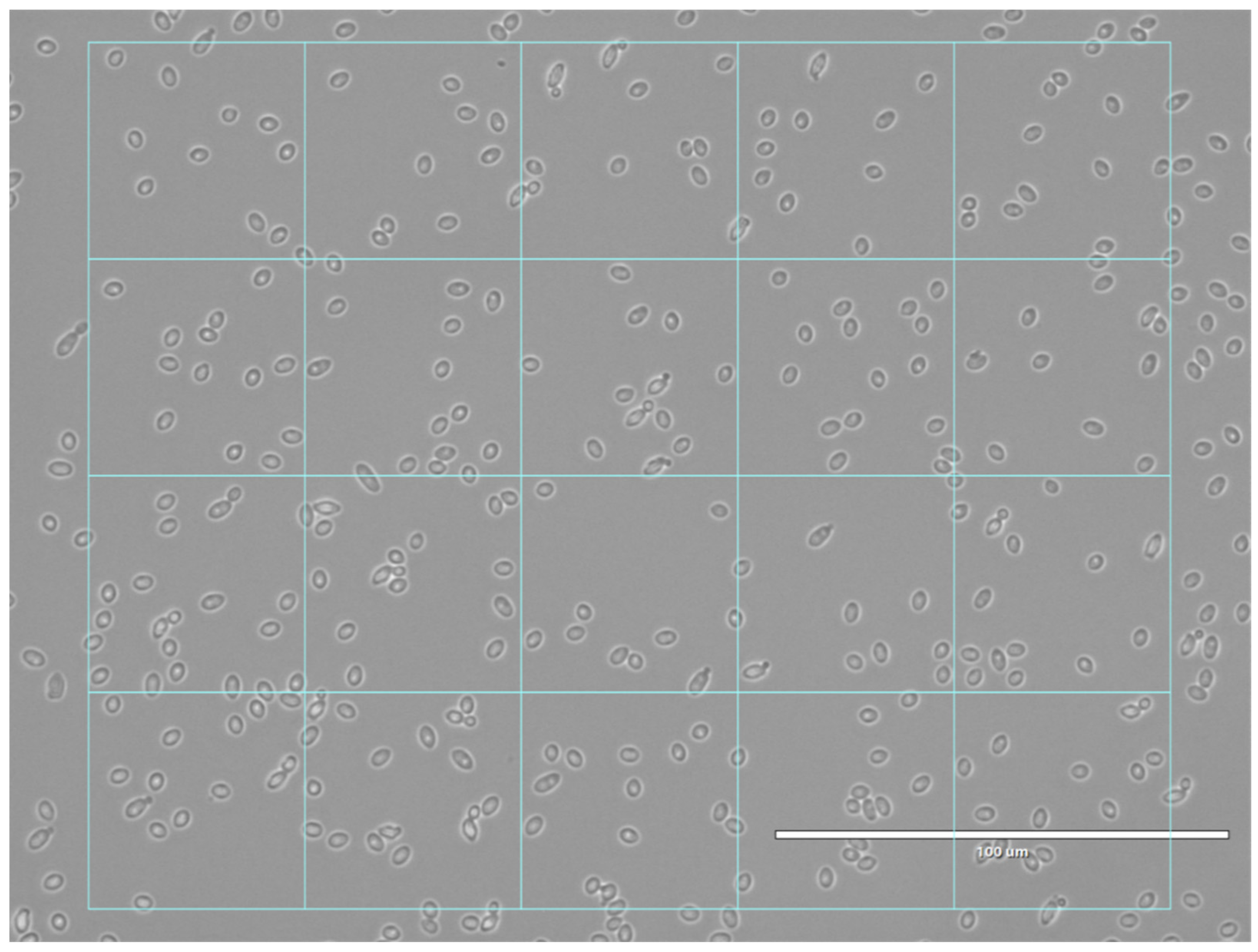 Jof 07 00581 g001 Jof 07 00581 g001