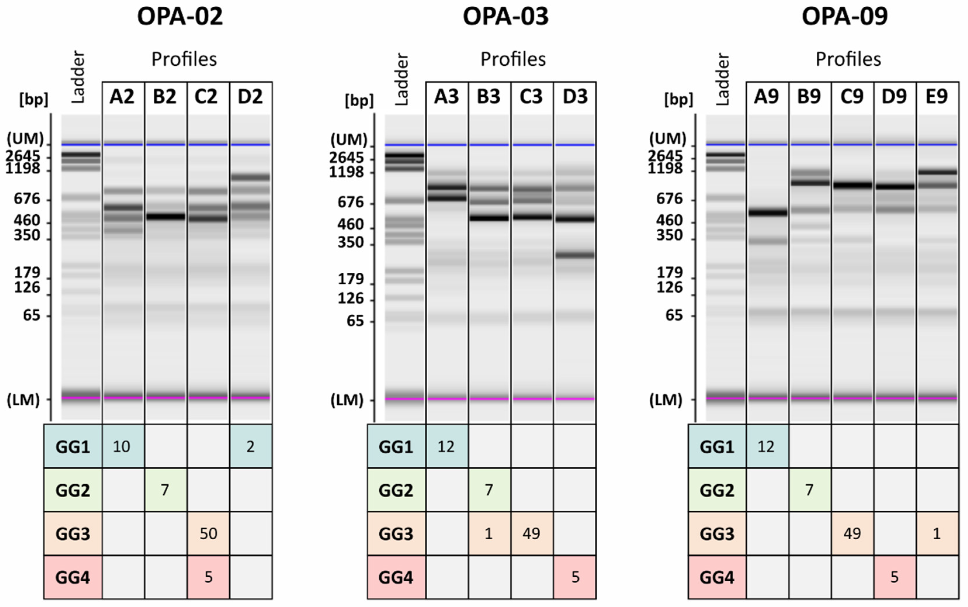 Jof 07 00581 g002 Jof 07 00581 g002