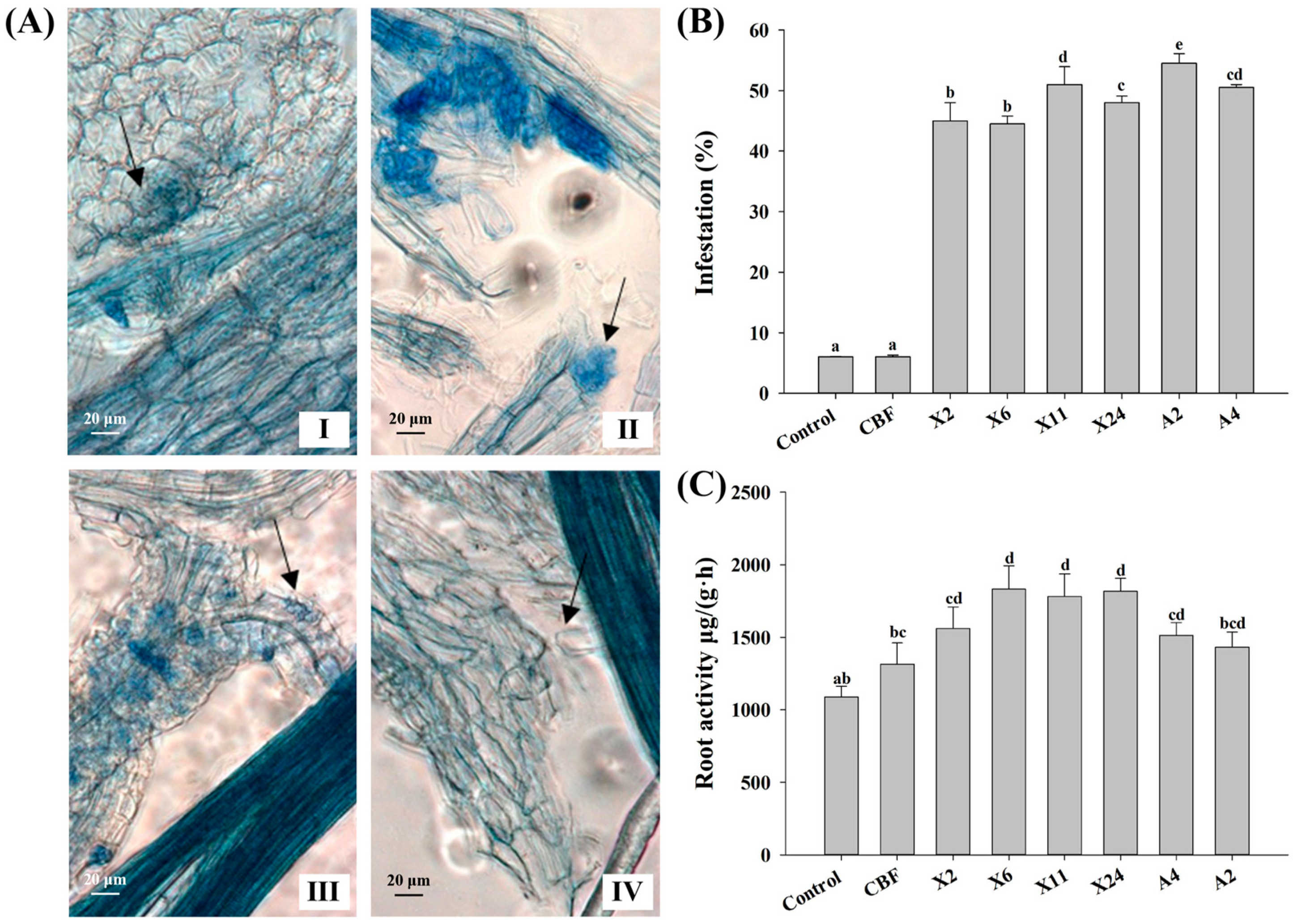 Jof 07 00584 g003 Jof 07 00584 g003