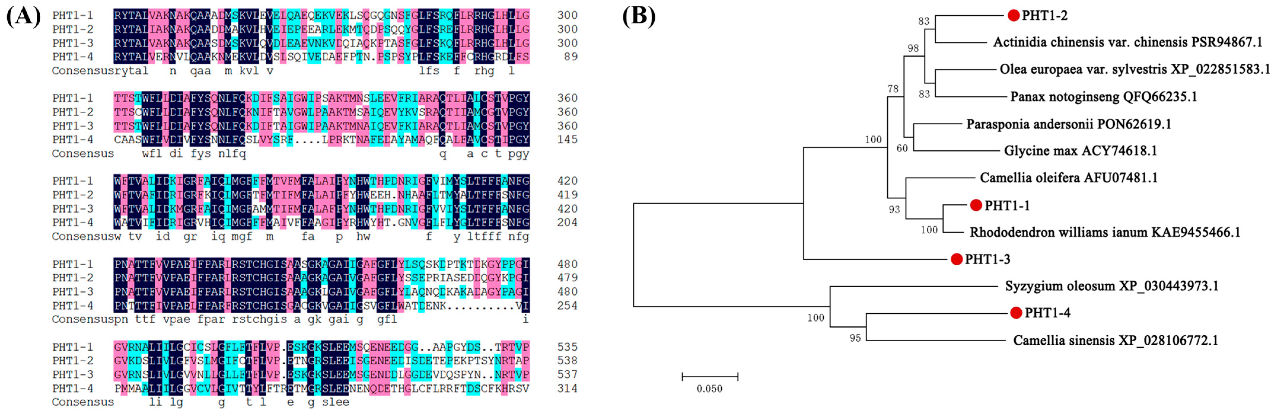 Jof 07 00584 g006 Jof 07 00584 g006