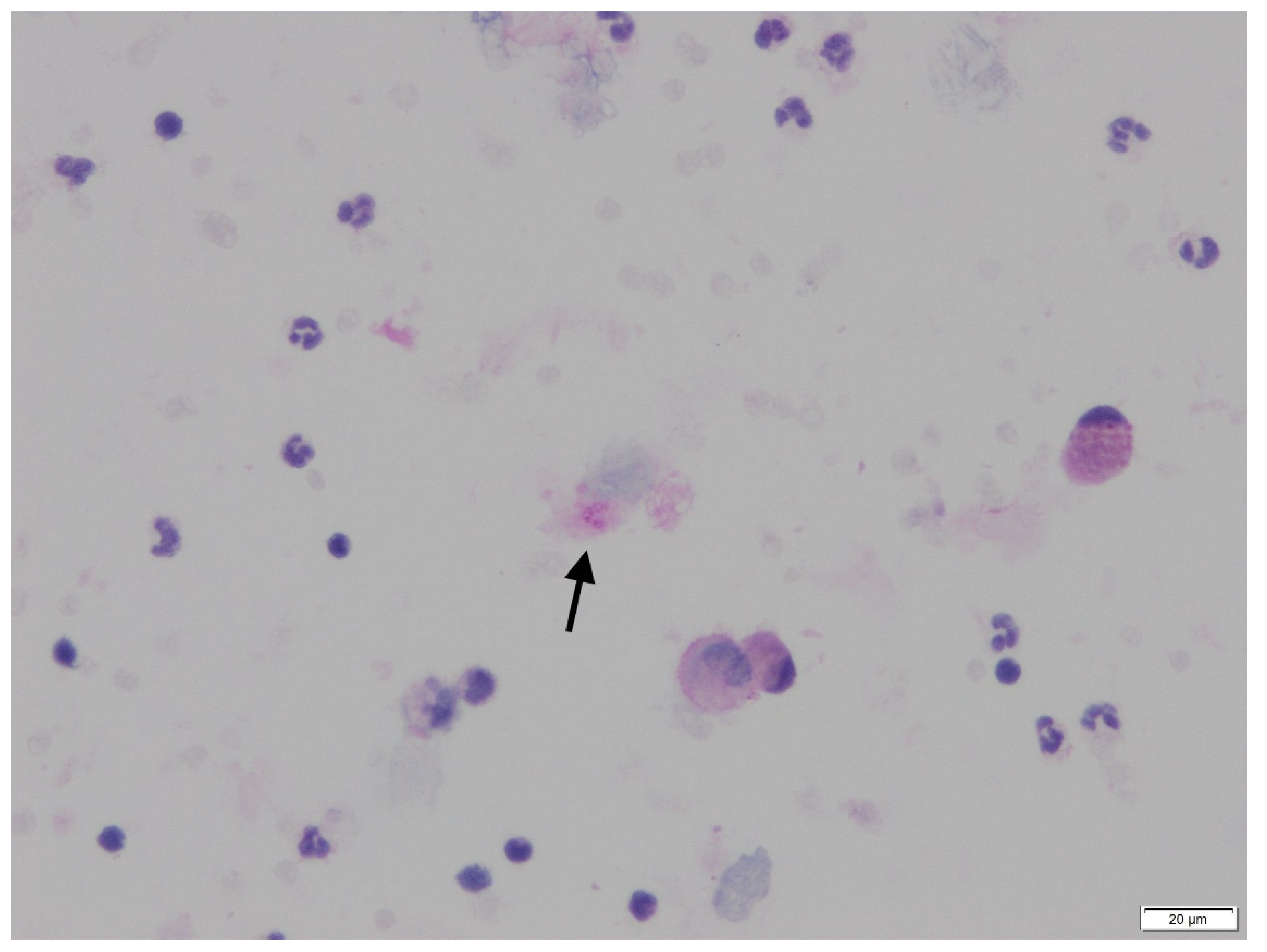 Jof 07 00585 g001 550