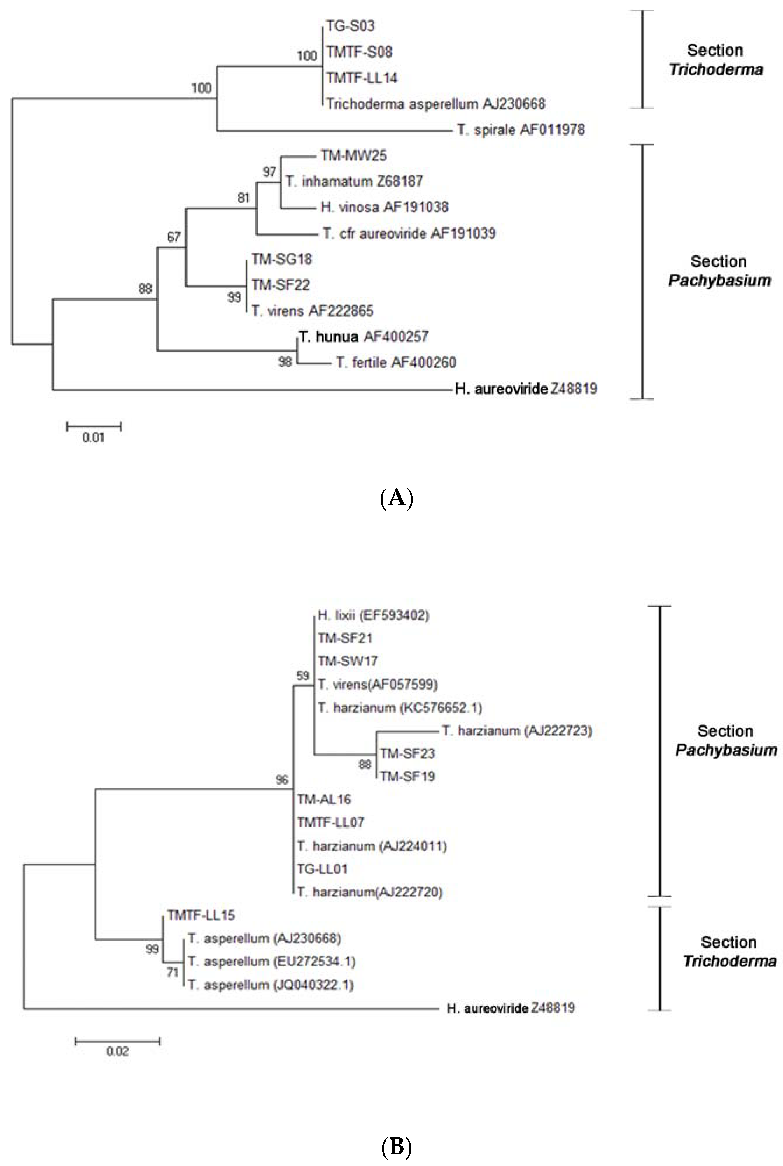 Jof 07 00591 g002 Jof 07 00591 g002