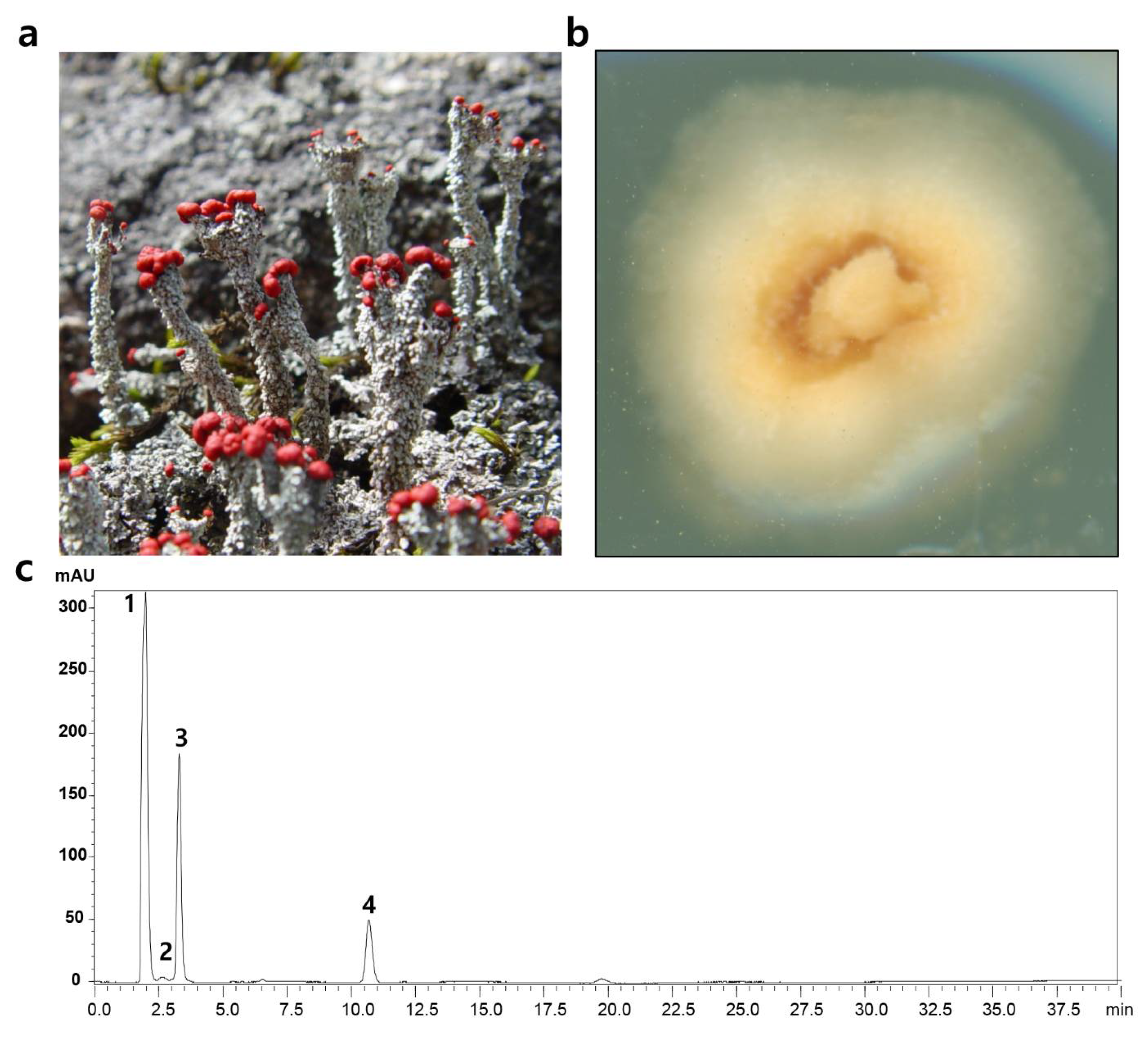 Jof 07 00601 g002 550