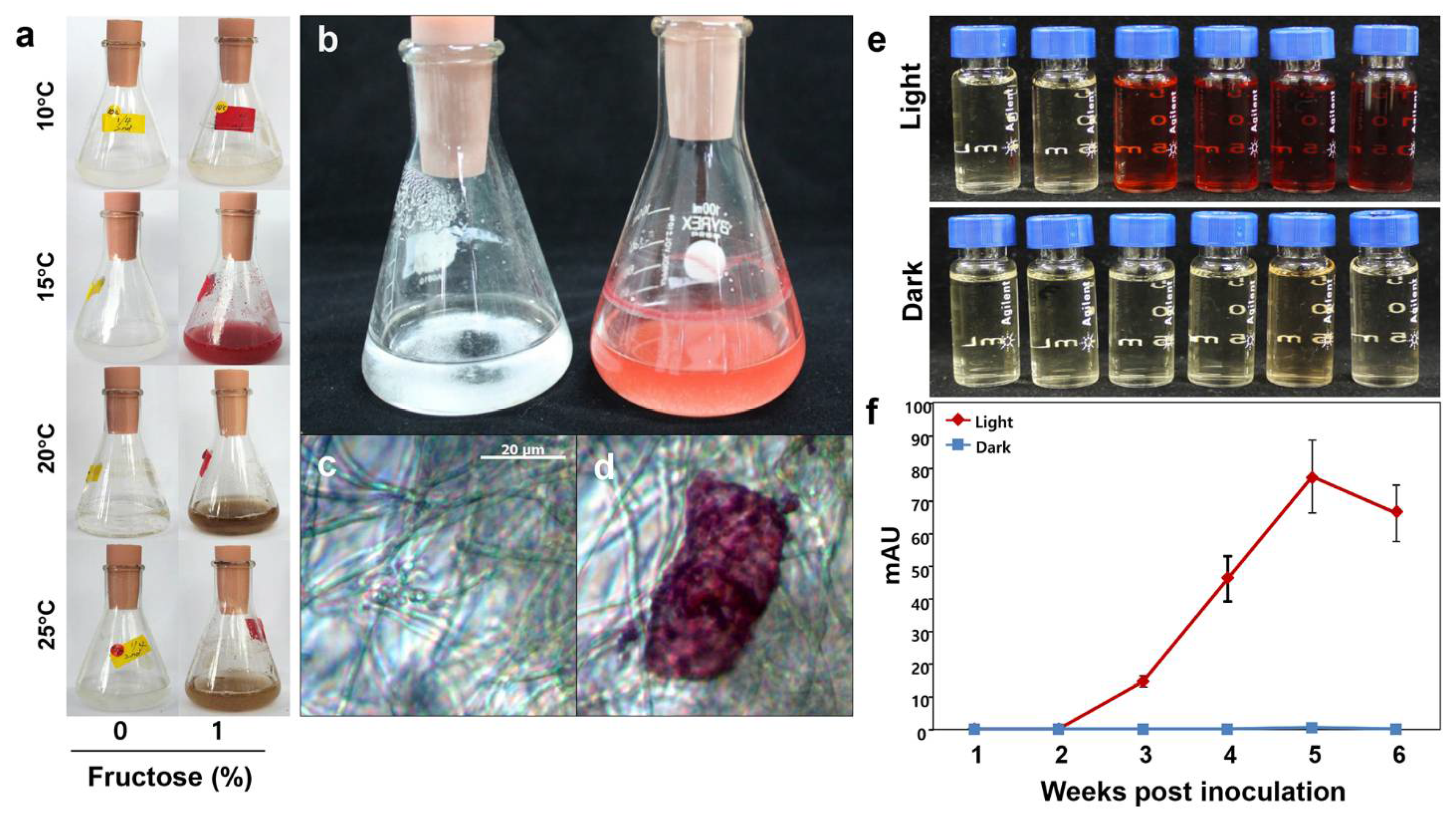 Jof 07 00601 g004 550