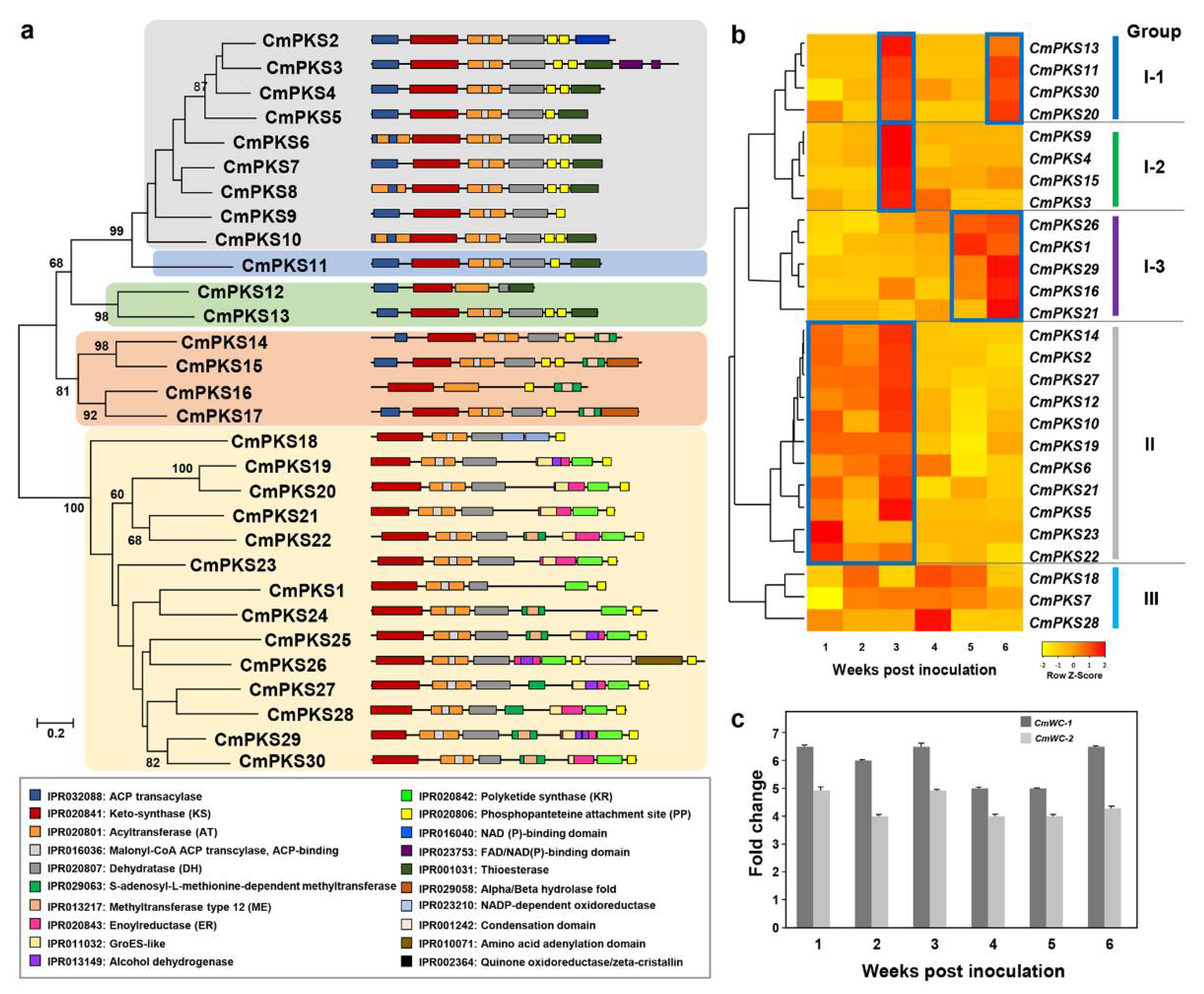 Jof 07 00601 g005 550