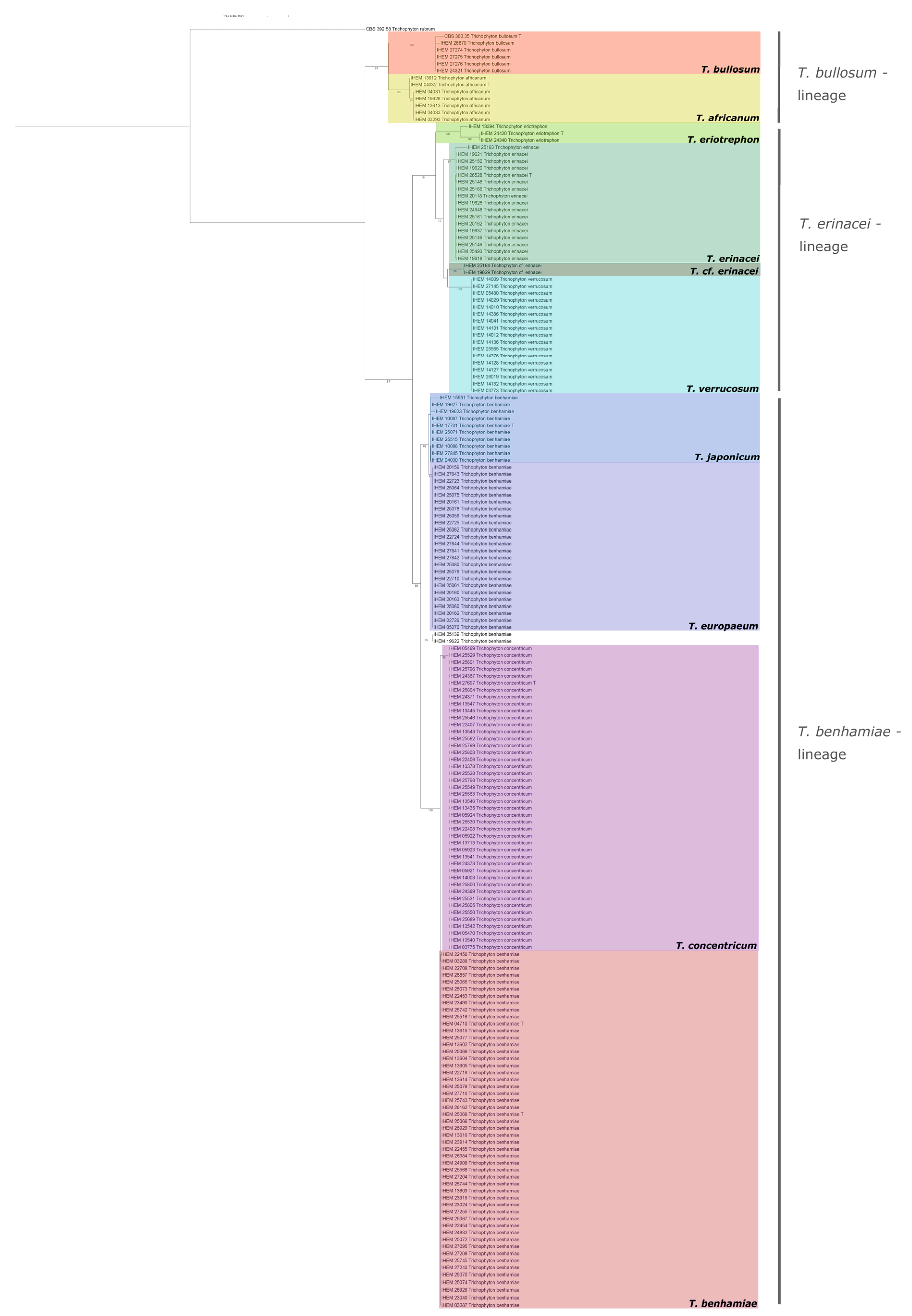 Jof 07 00602 g001 550