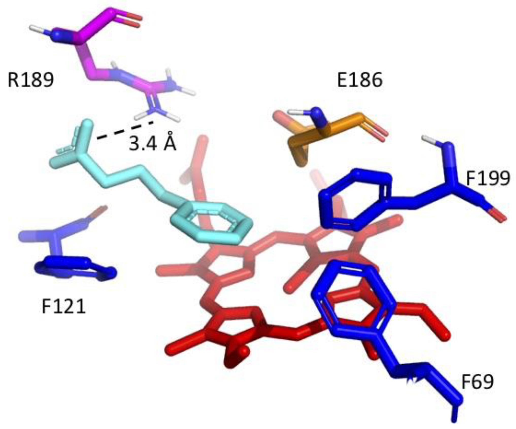 Jof 07 00608 g005 550