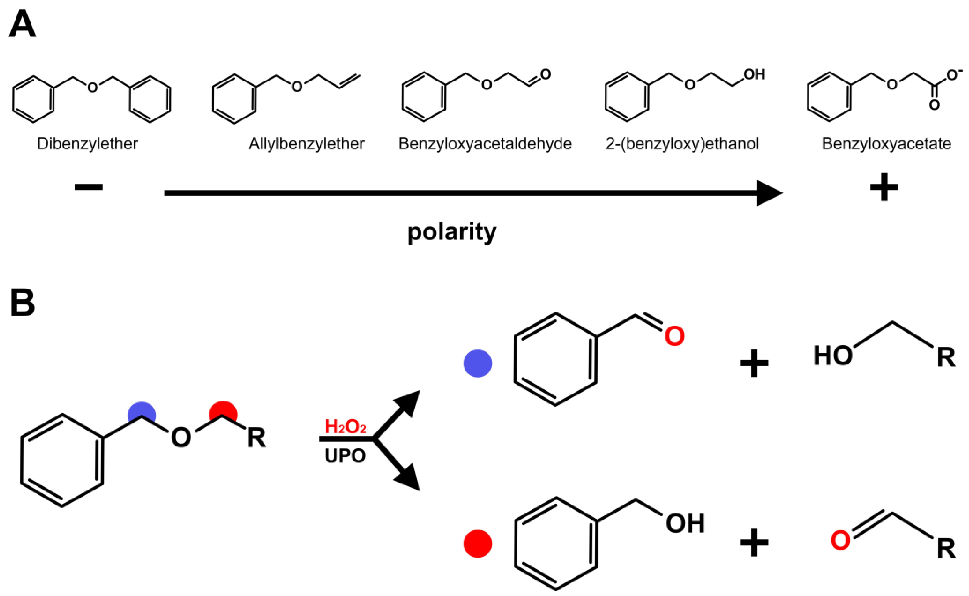 Jof 07 00608 sch001 550