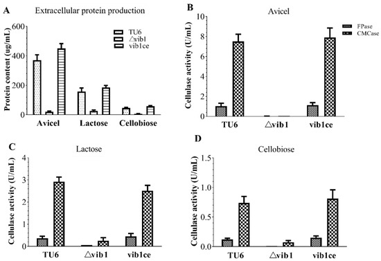 のん FRMD8 targets both CDK4 activation and RB degradation to