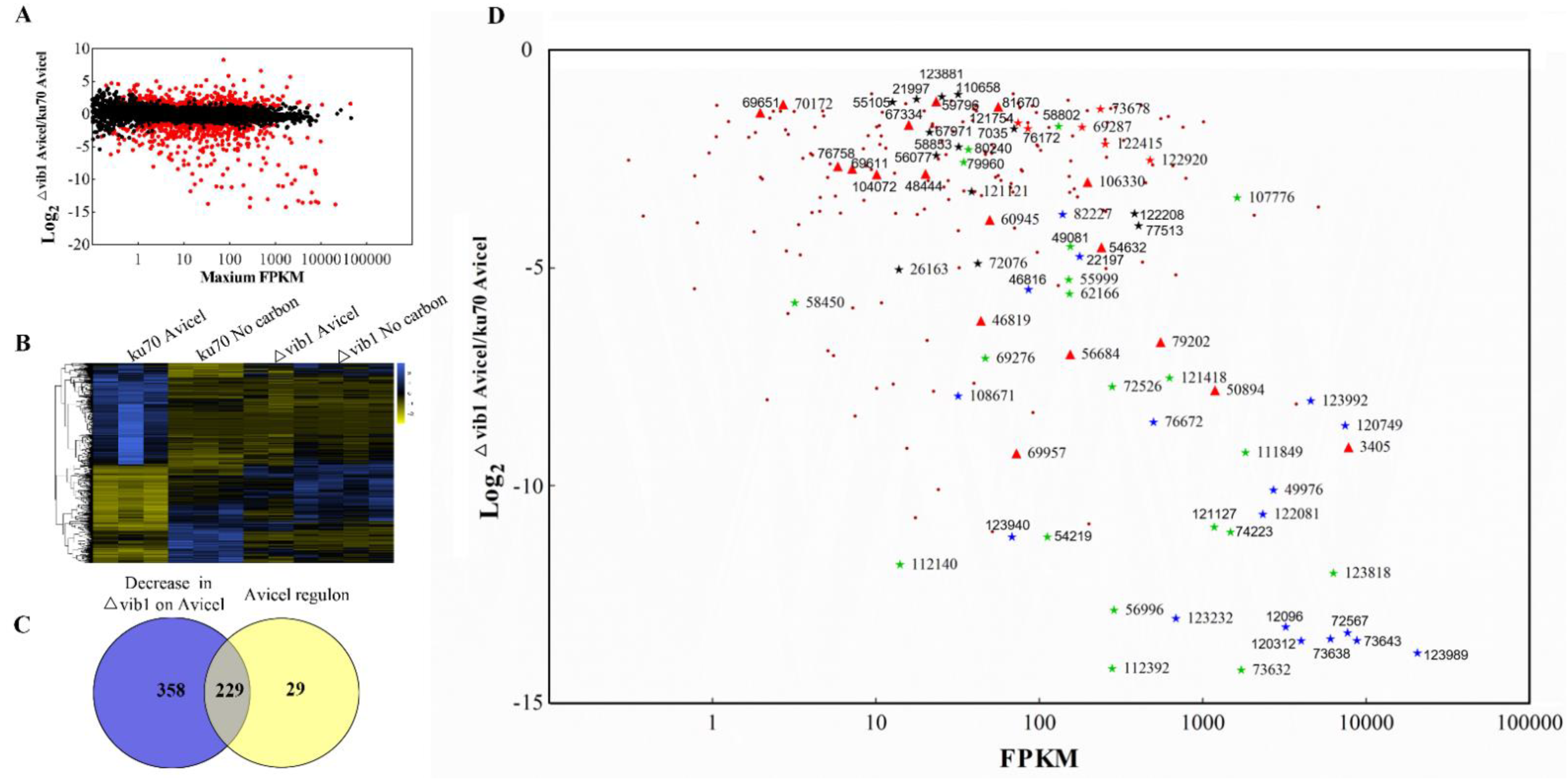 JoF | Free Full-Text | Understanding the Role of Trichoderma 