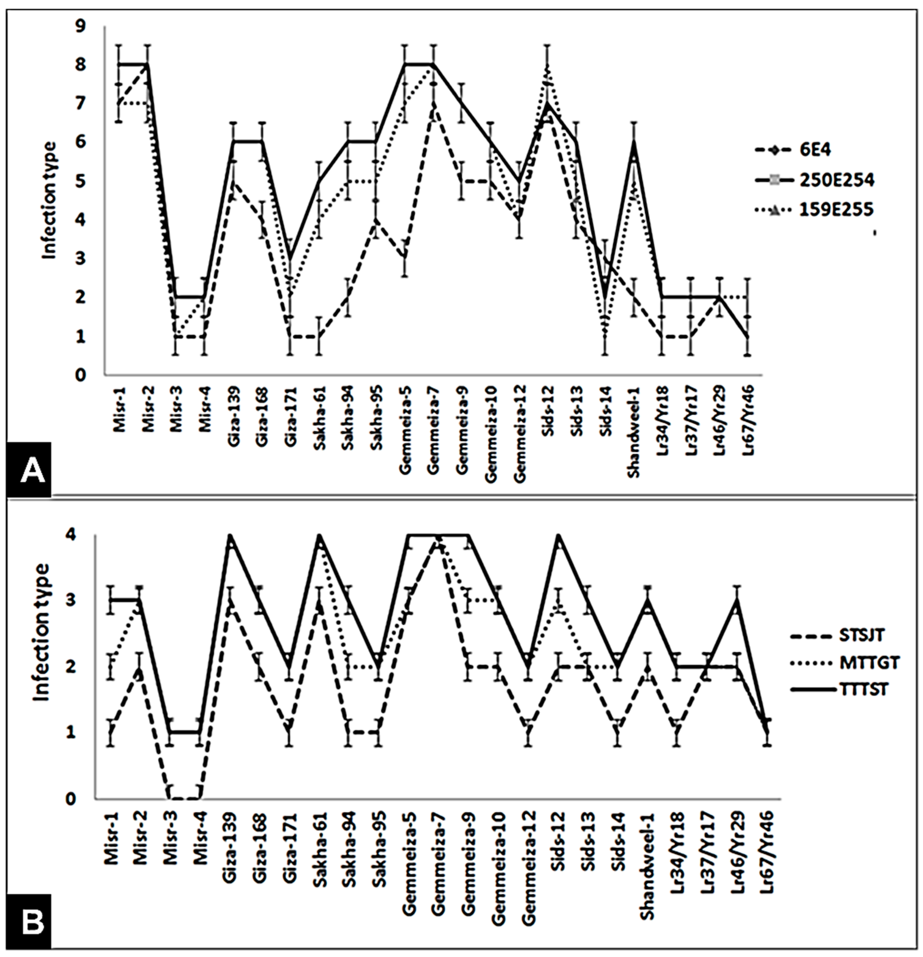 Jof 07 00622 g001 Jof 07 00622 g001