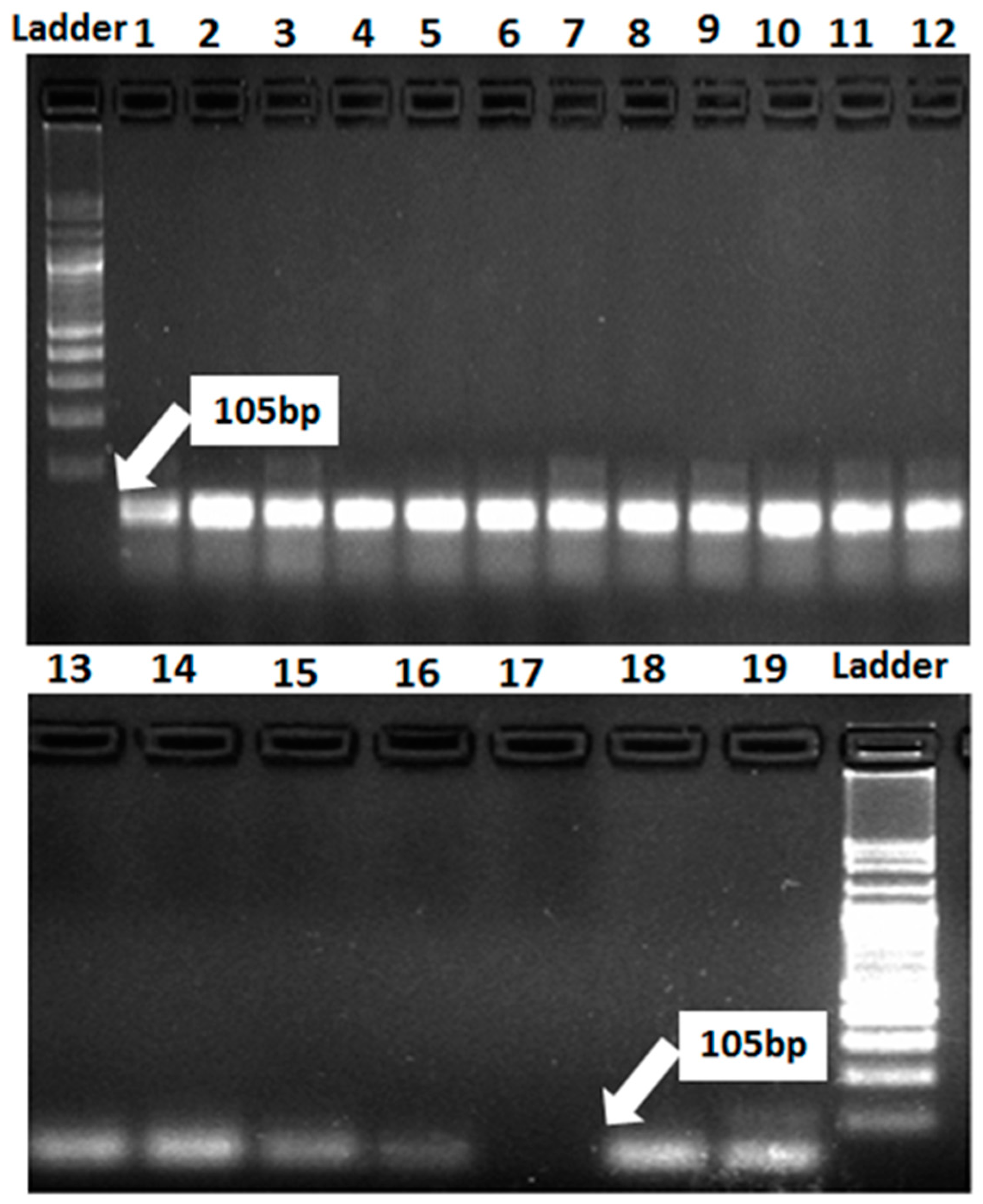Jof 07 00622 g006 Jof 07 00622 g006