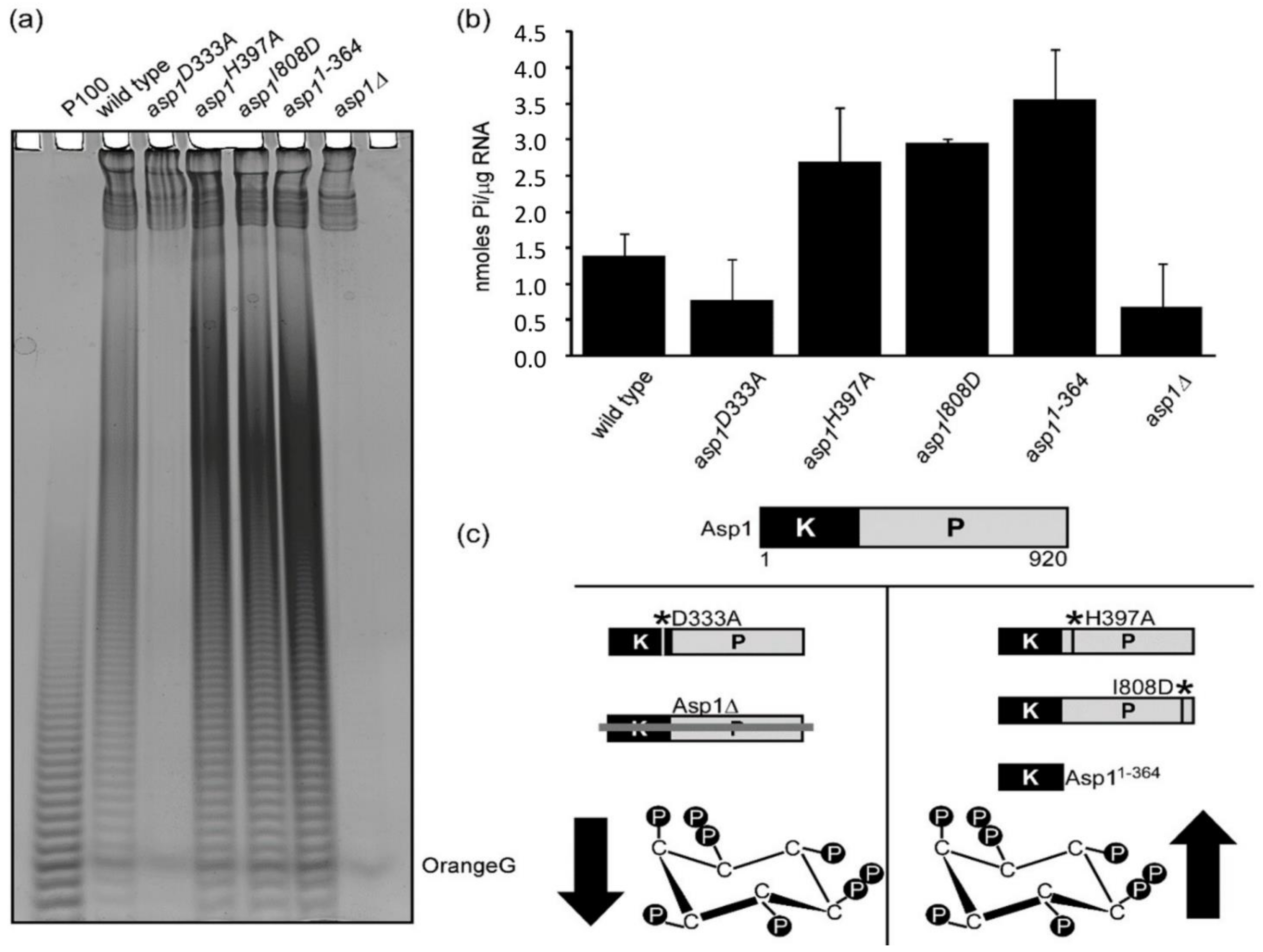 Jof 07 00626 g003 Jof 07 00626 g003