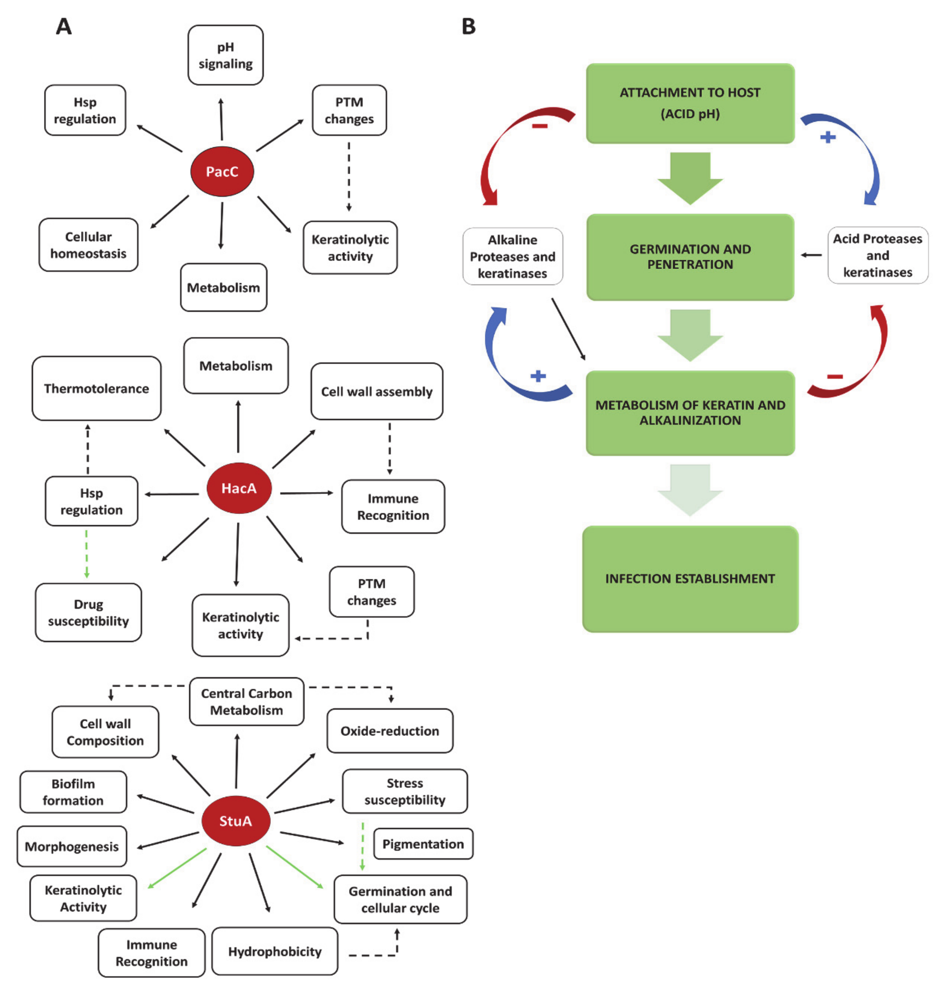 Jof 07 00629 g001 Jof 07 00629 g001