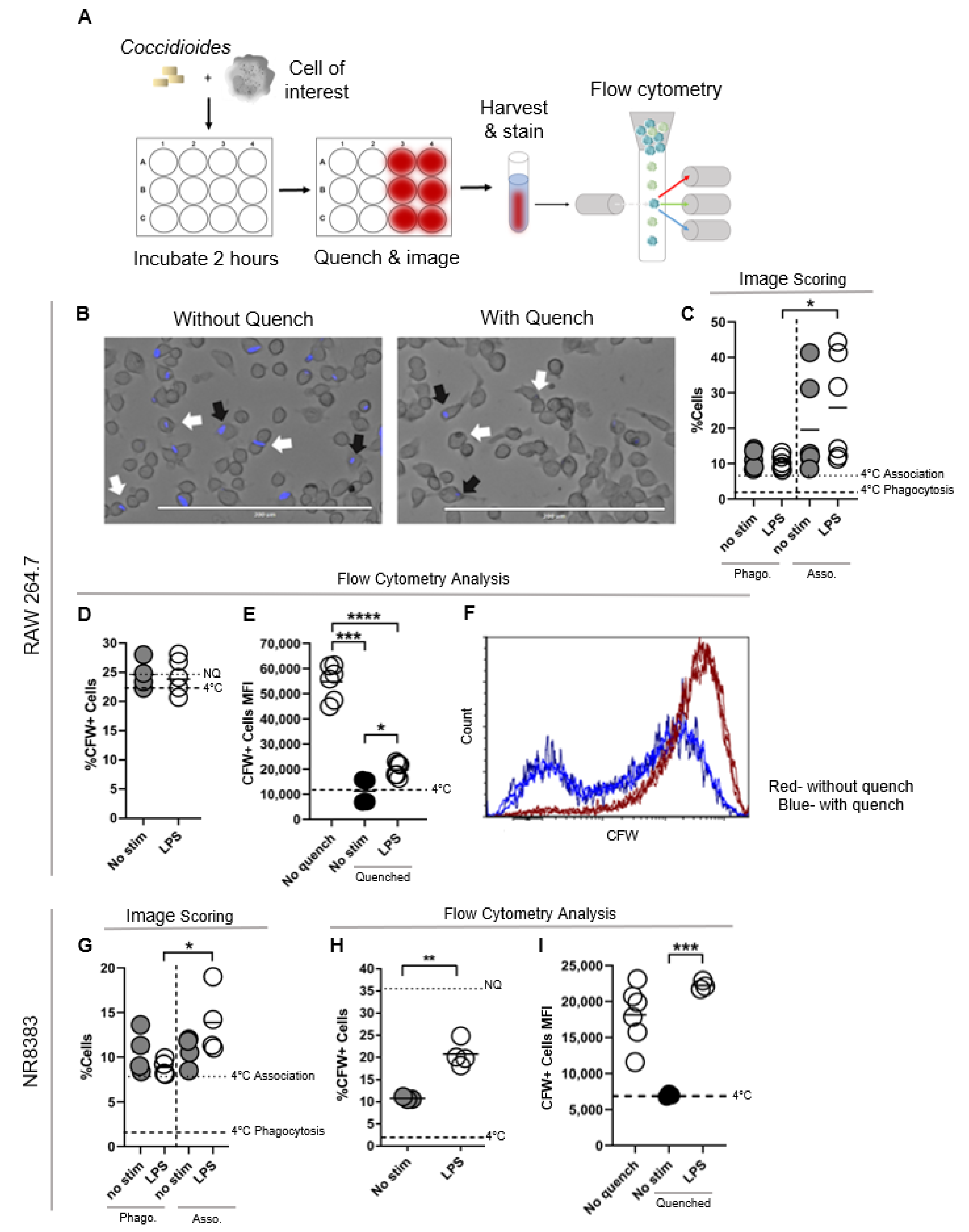 Jof 07 00630 g001 550