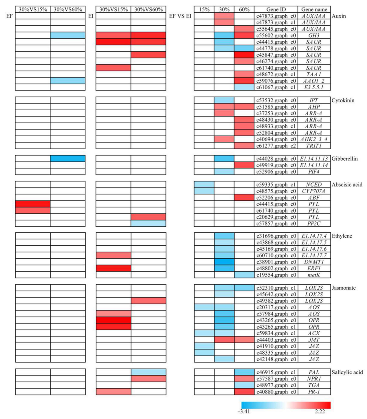 Jof 07 00640 g002 550