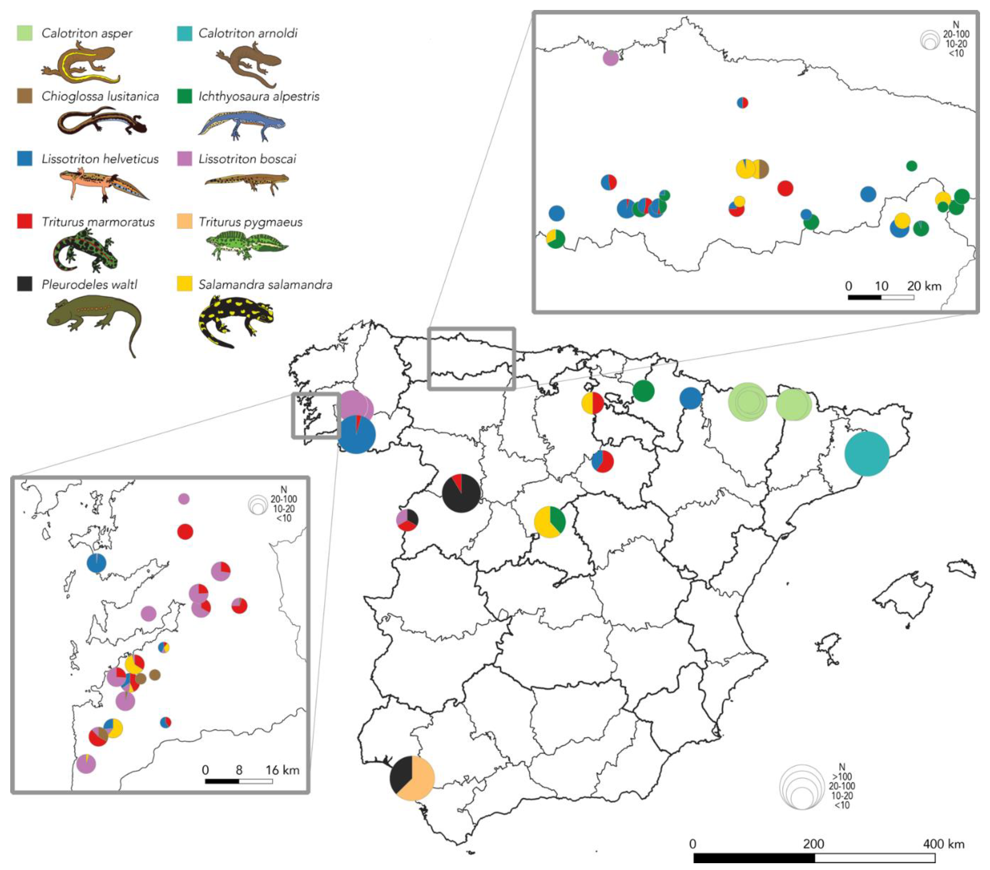 Jof 07 00644 g001 550