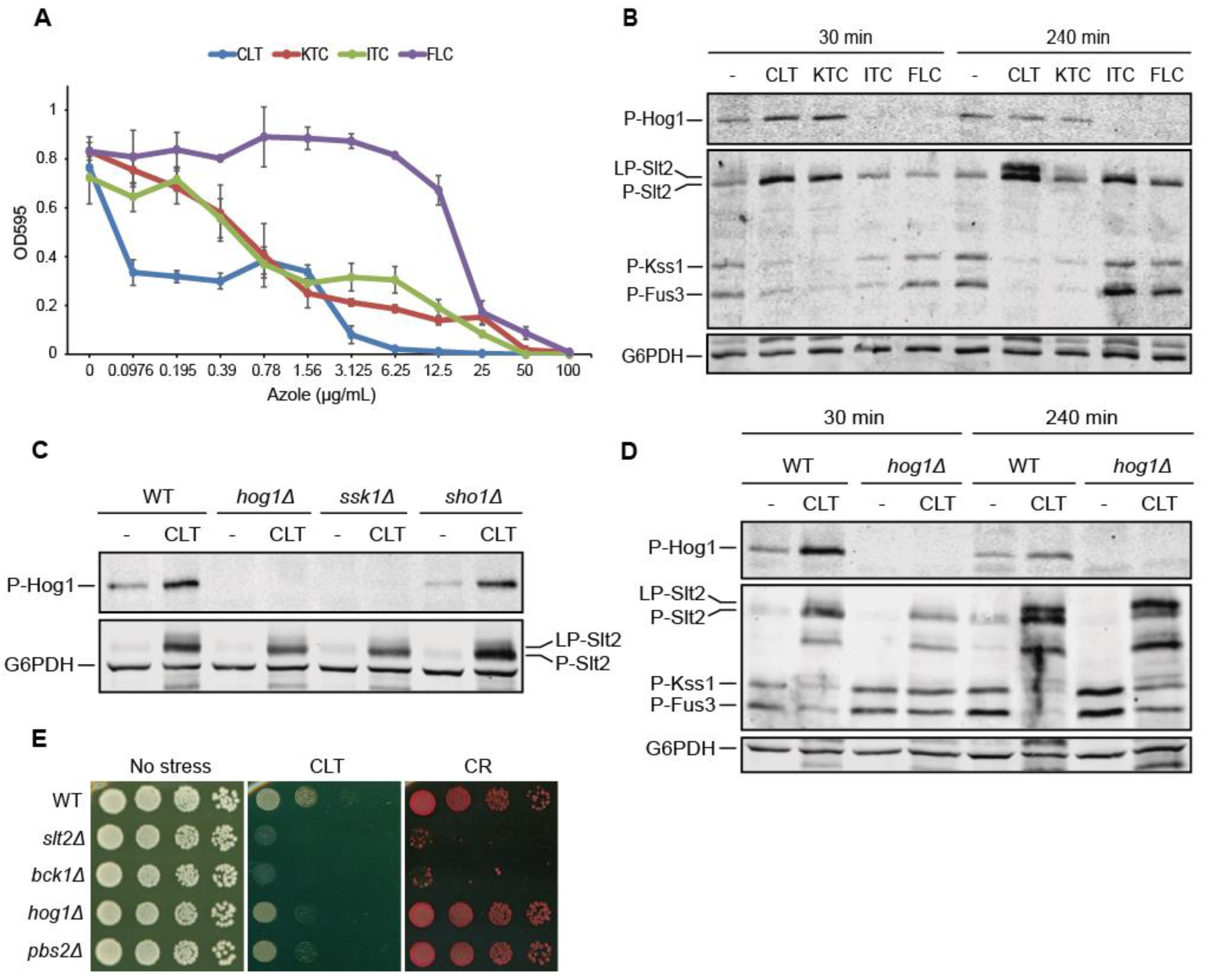 Jof 07 00647 g001 Jof 07 00647 g001