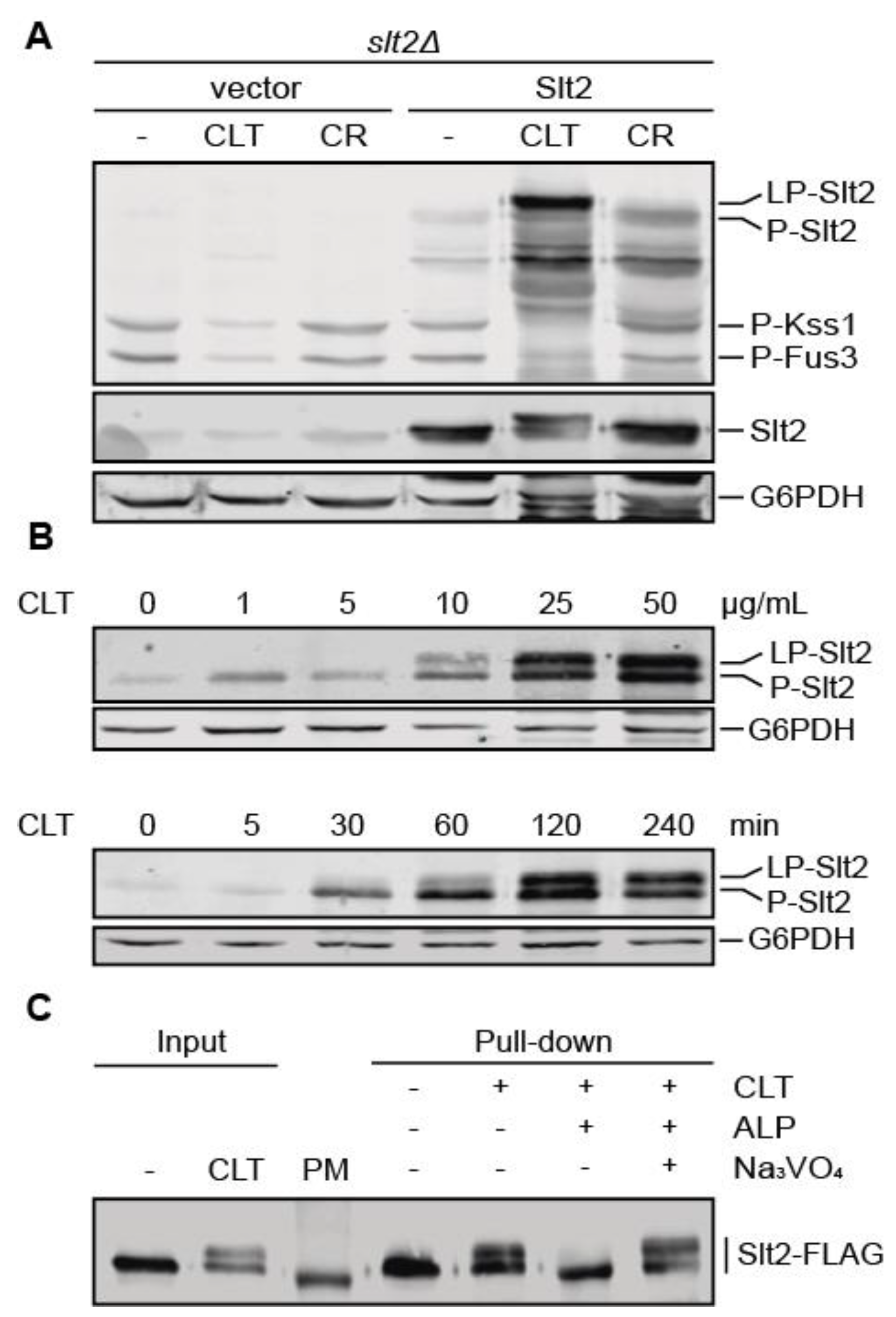 Jof 07 00647 g002 Jof 07 00647 g002