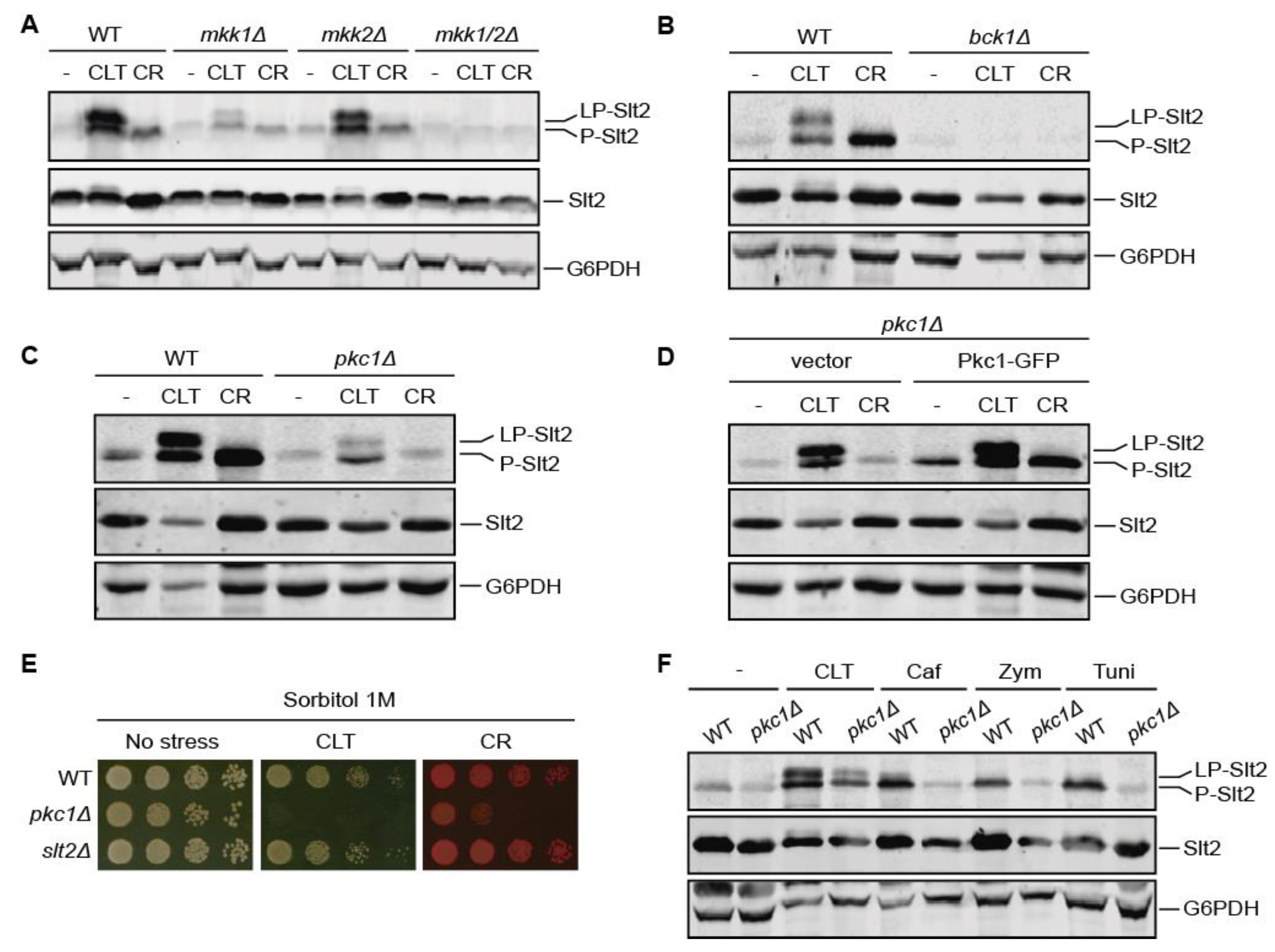 Jof 07 00647 g003 Jof 07 00647 g003