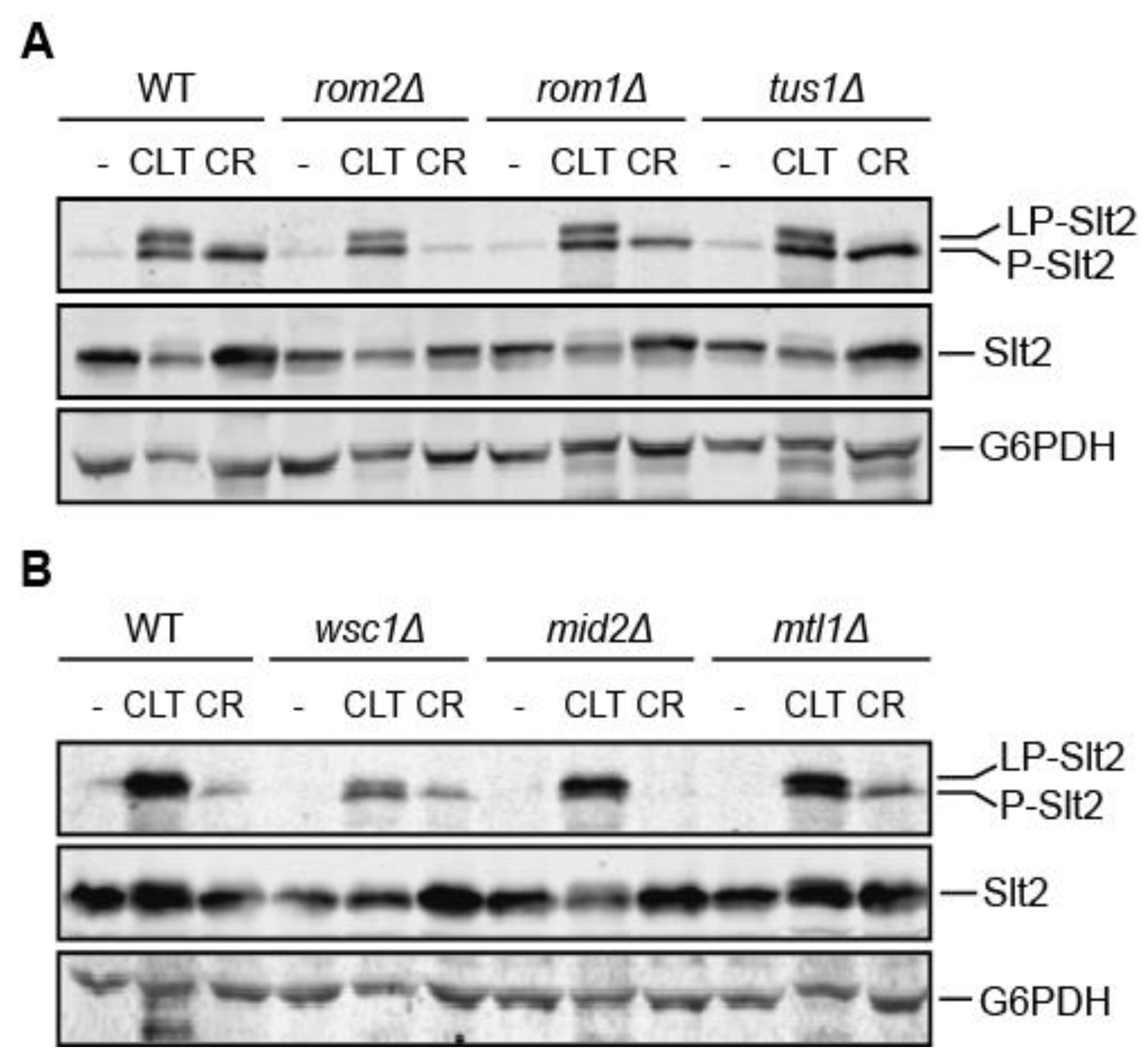 Jof 07 00647 g004 Jof 07 00647 g004