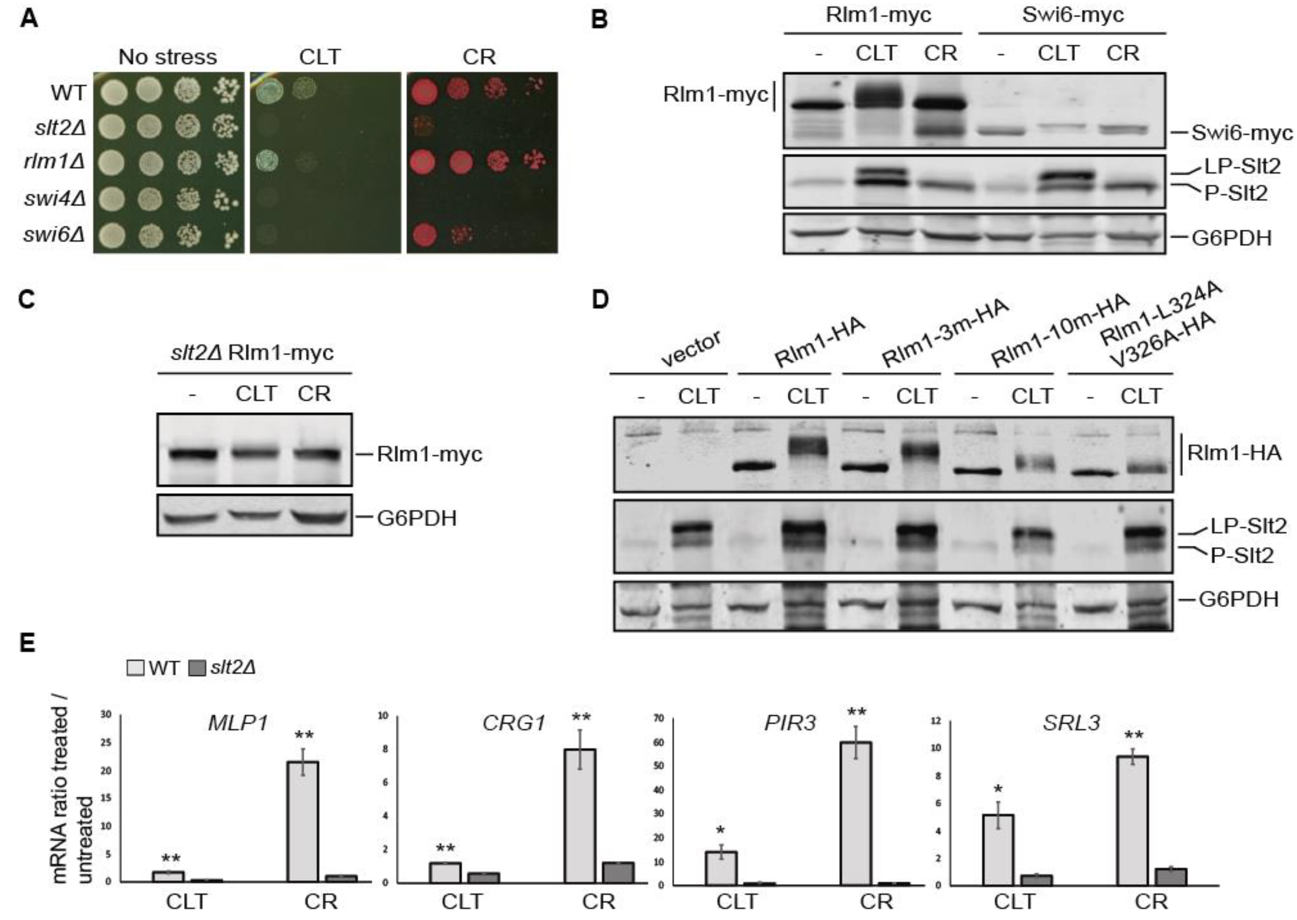 Jof 07 00647 g005 Jof 07 00647 g005