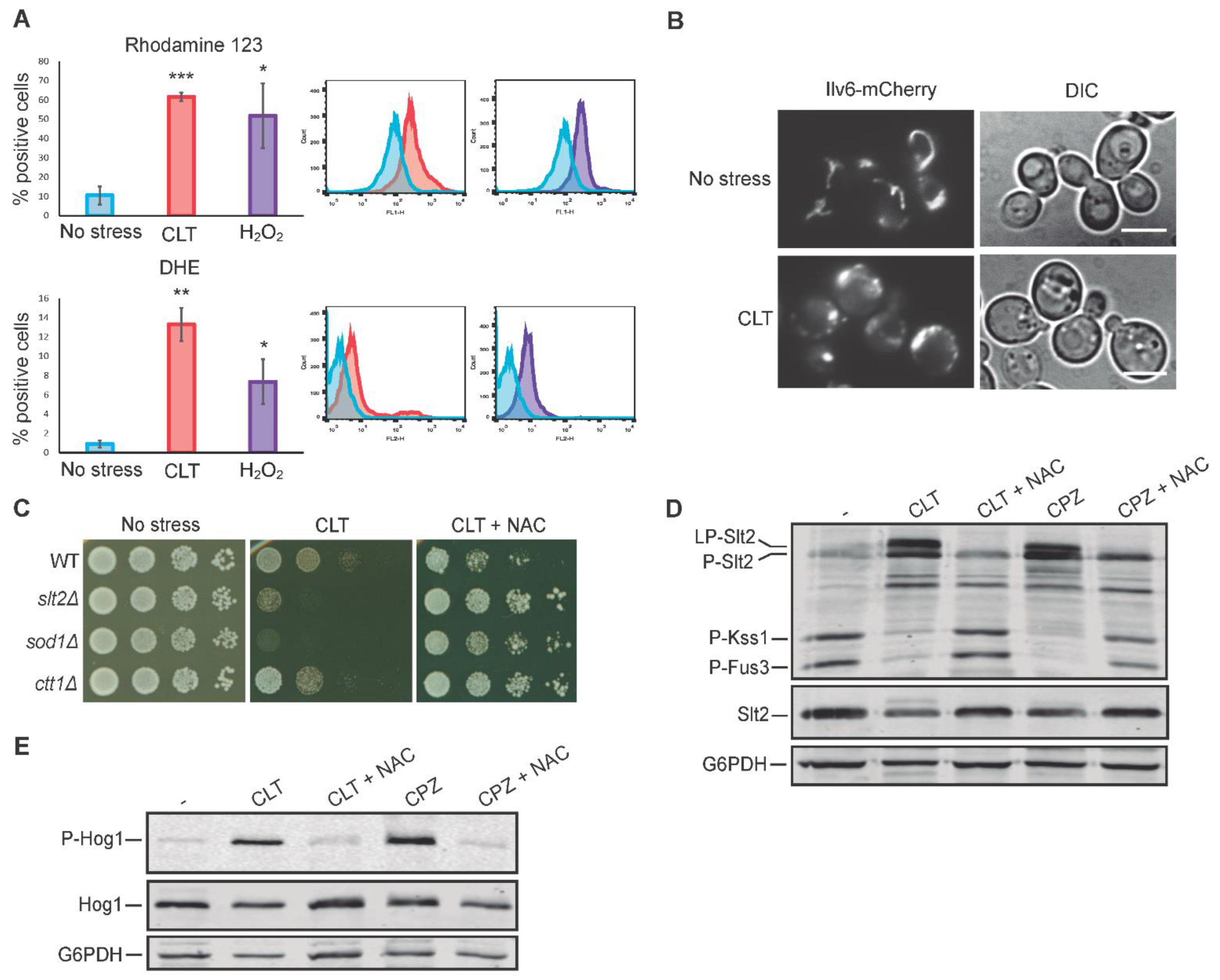 Jof 07 00647 g006 Jof 07 00647 g006