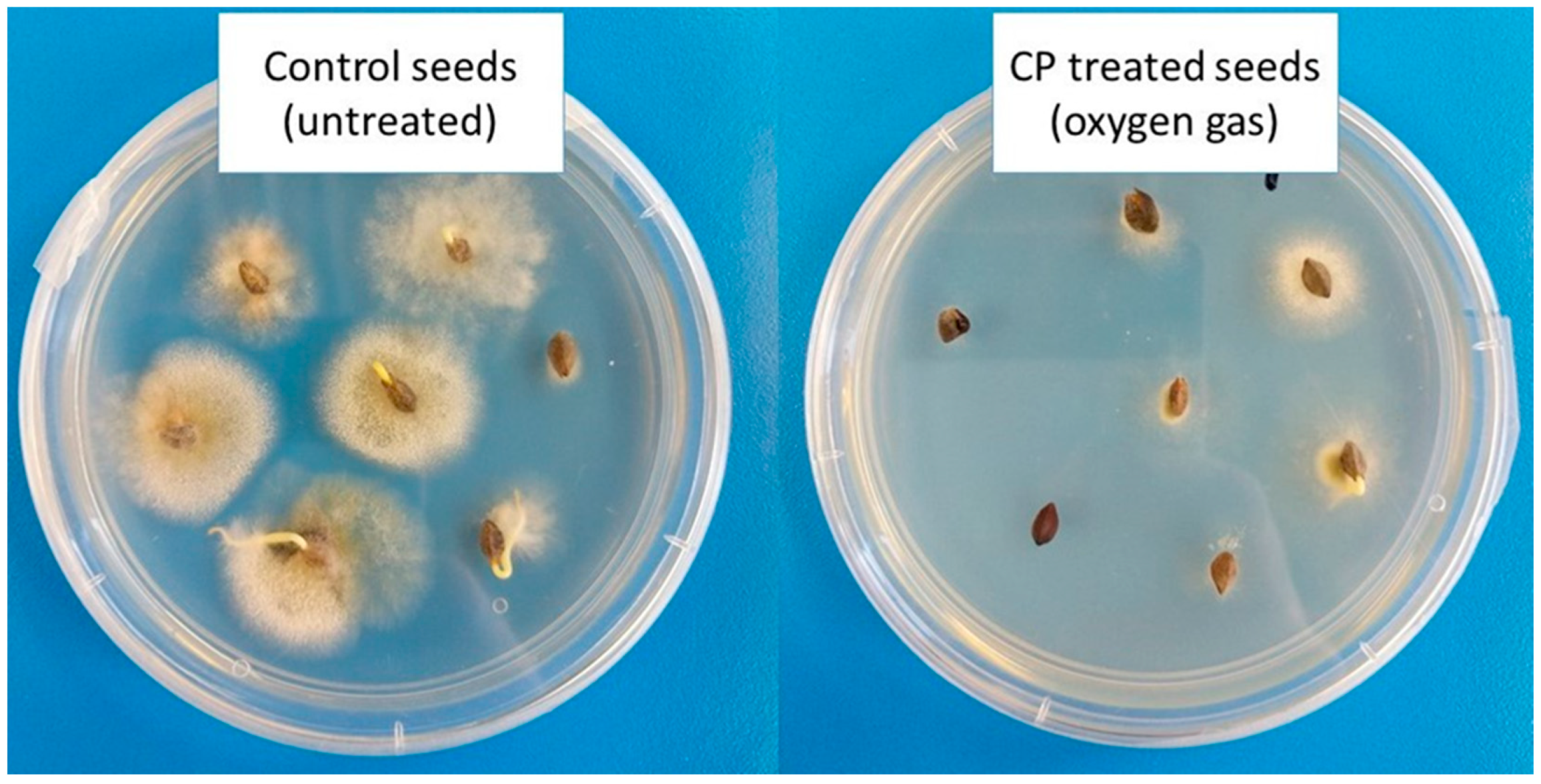 Jof 07 00650 g002 550