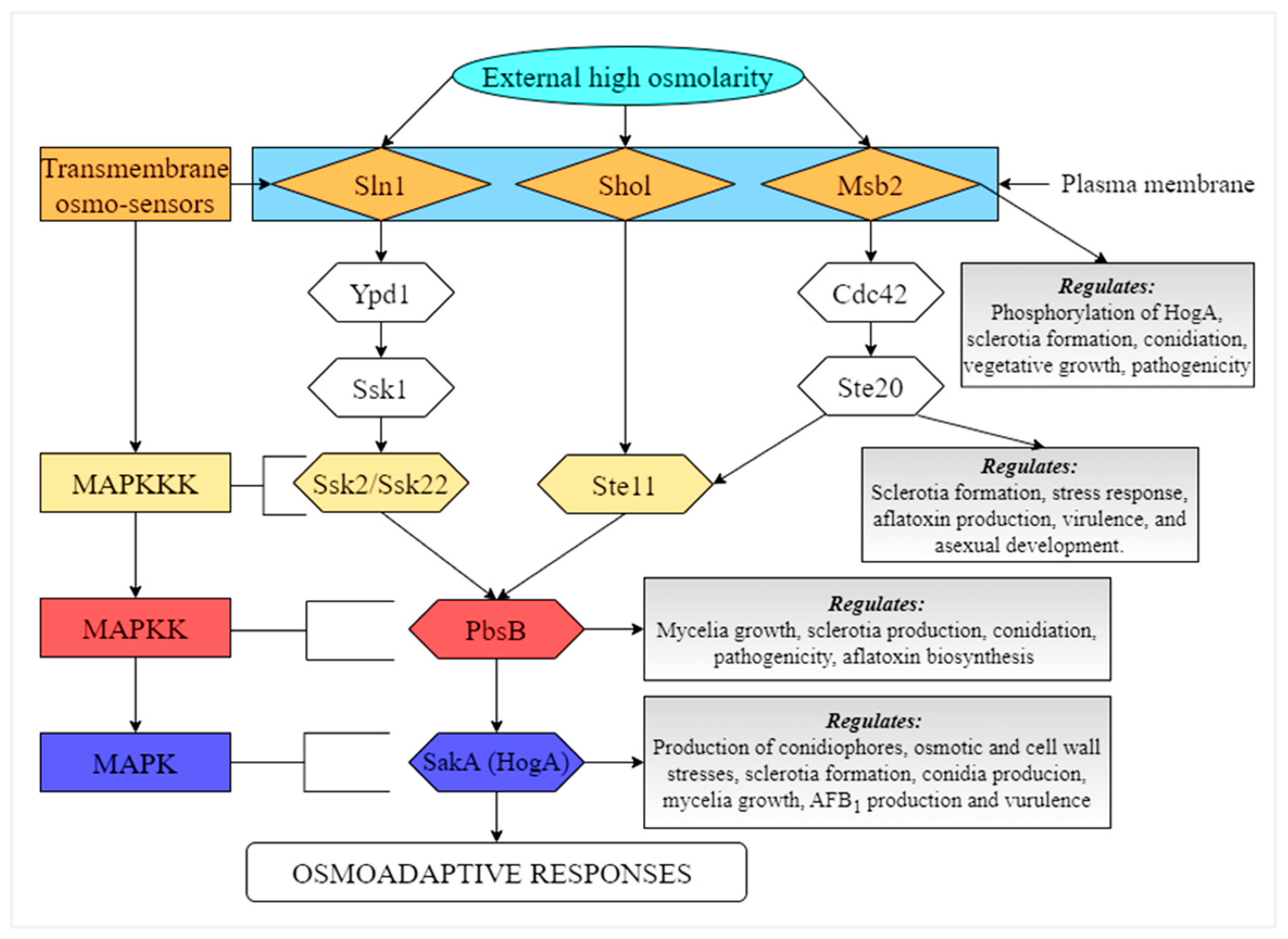 Jof 07 00666 g001 550