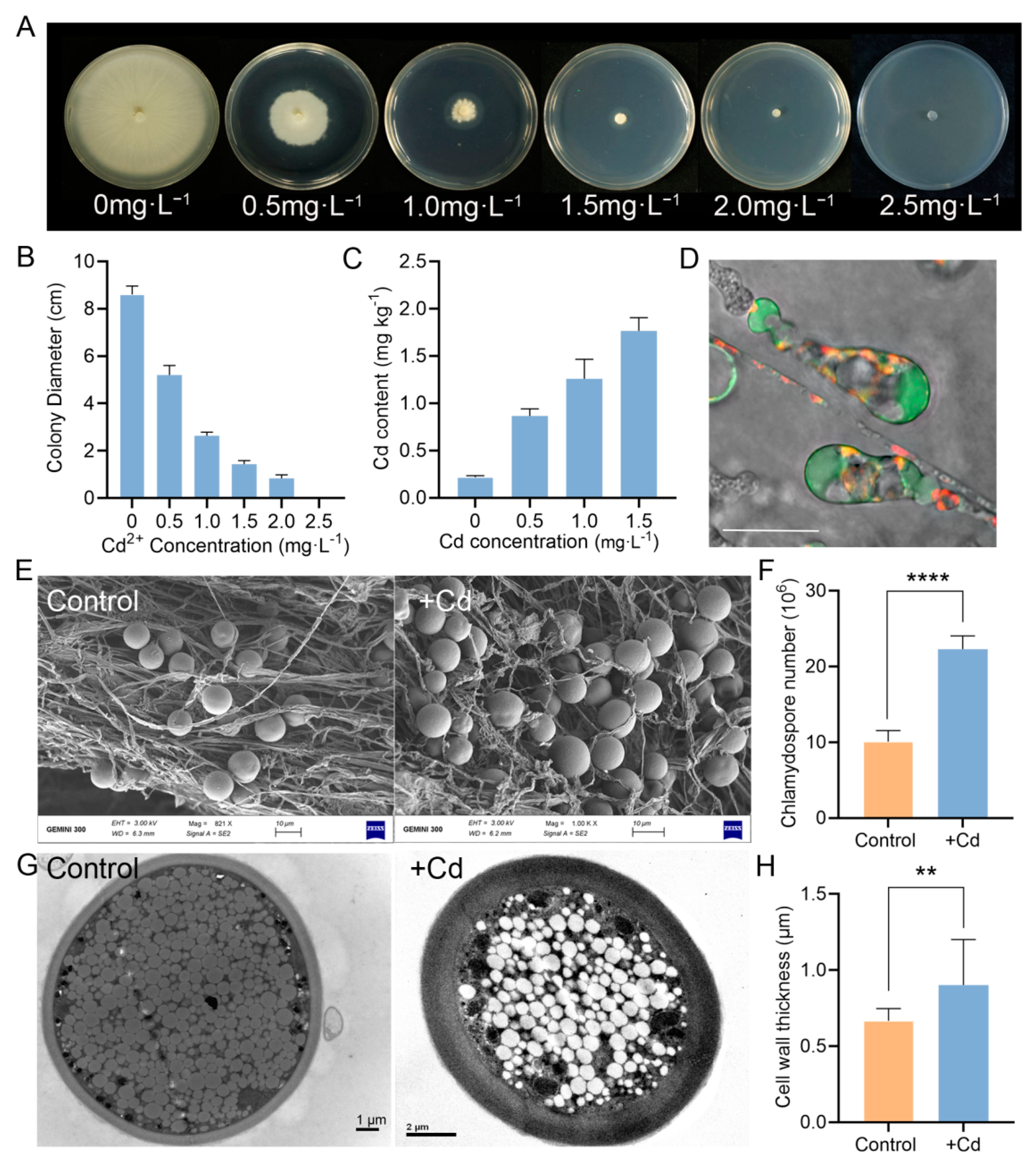 Jof 07 00675 g005 550