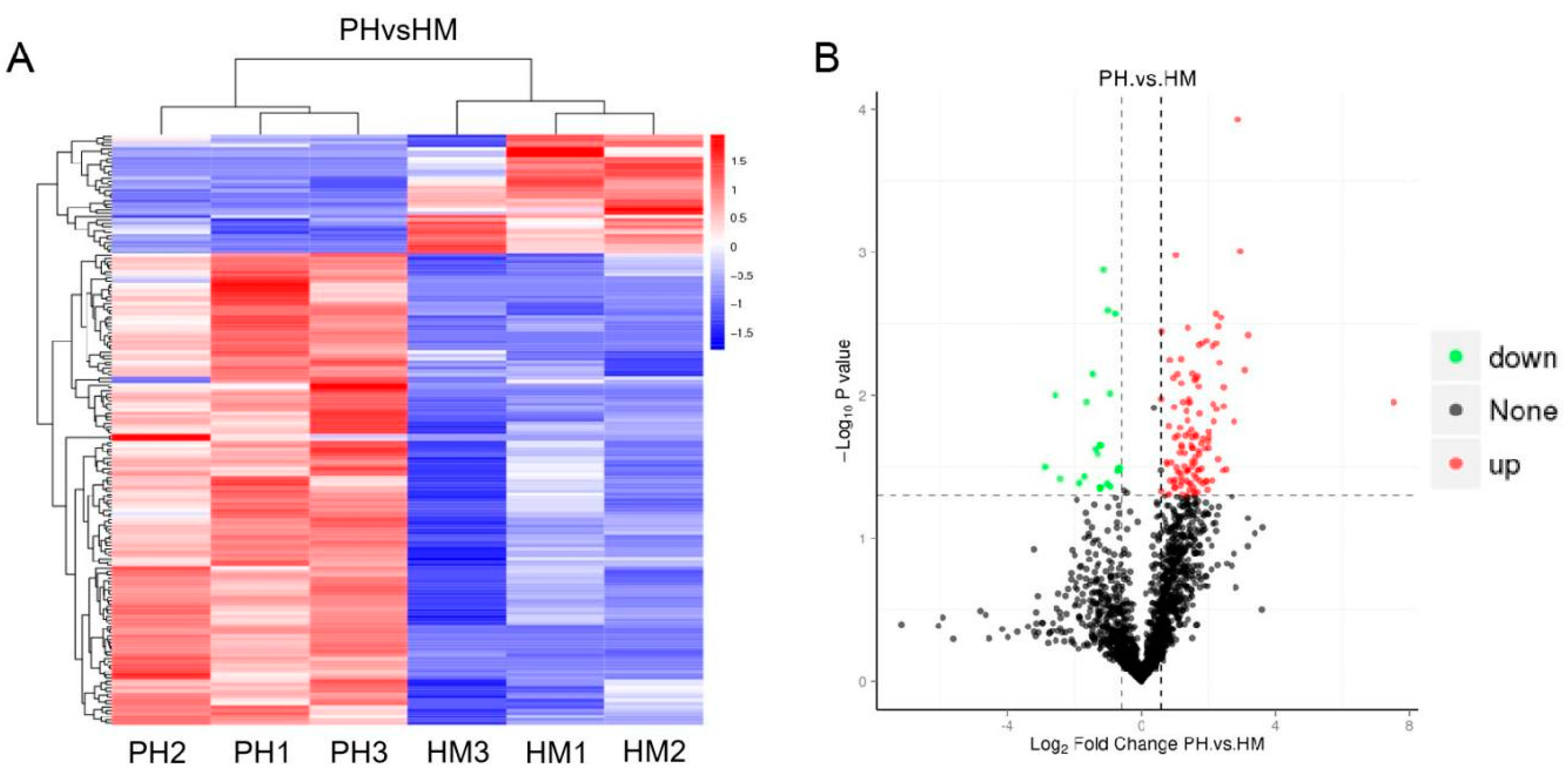 Jof 07 00675 g006 550