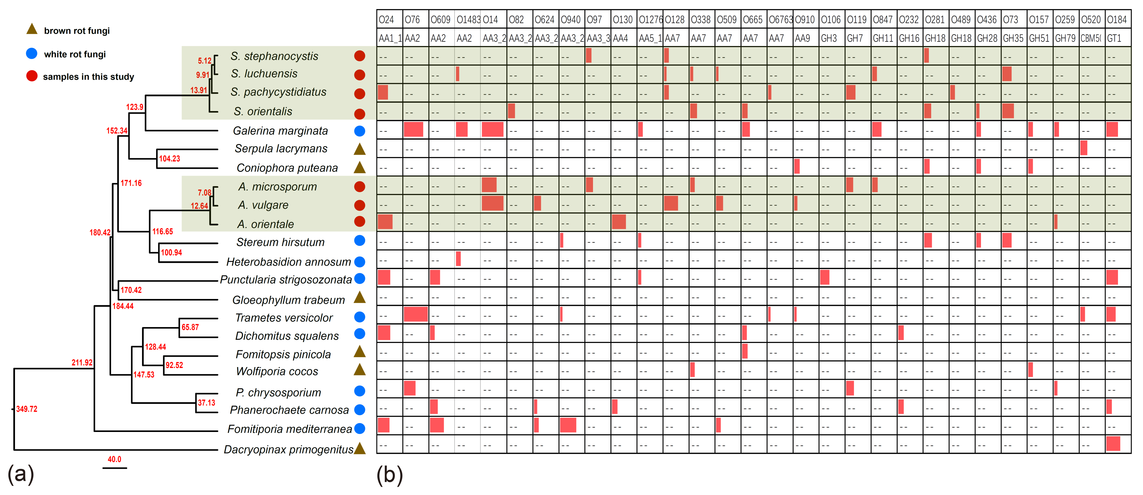 Jof 07 00679 g005 Jof 07 00679 g005