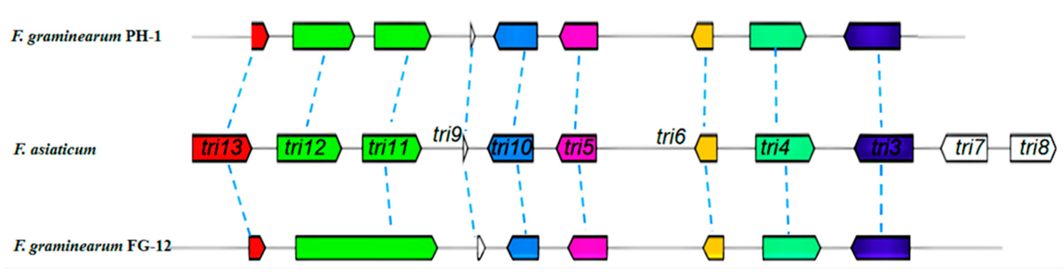 Jof 07 00699 g003 Jof 07 00699 g003