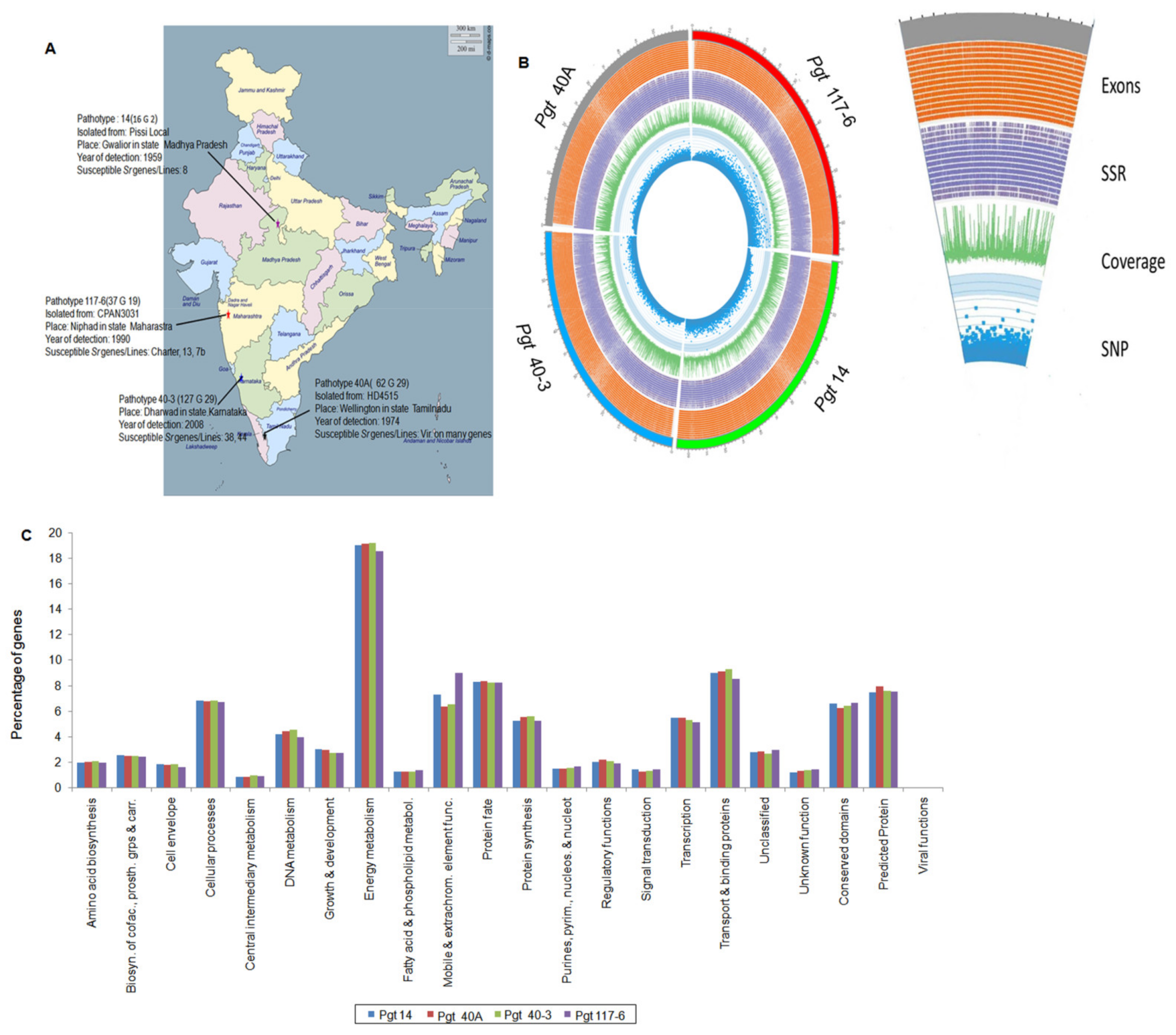 Jof 07 00701 g001 Jof 07 00701 g001