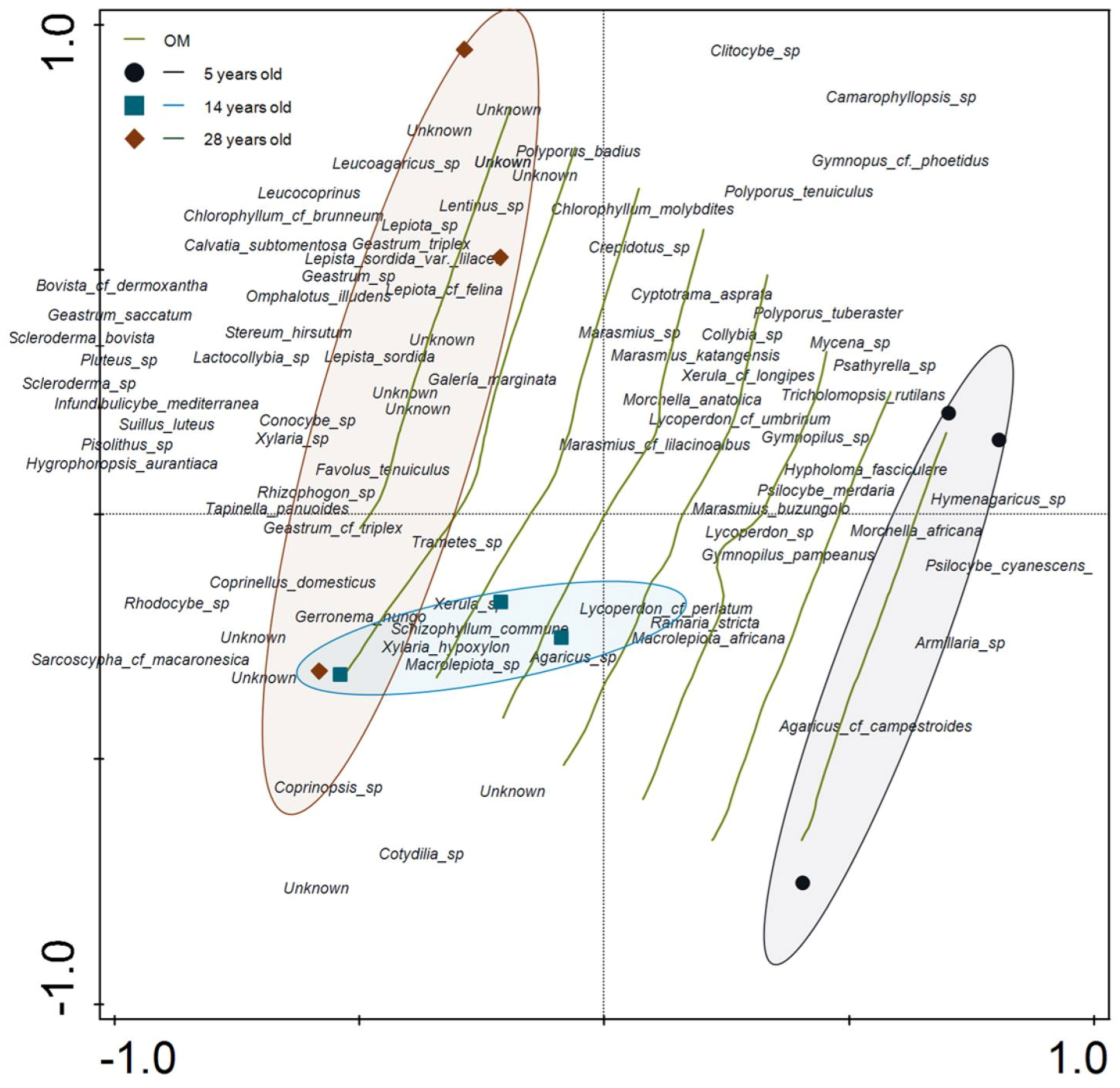 Jof 07 00702 g004 Jof 07 00702 g004