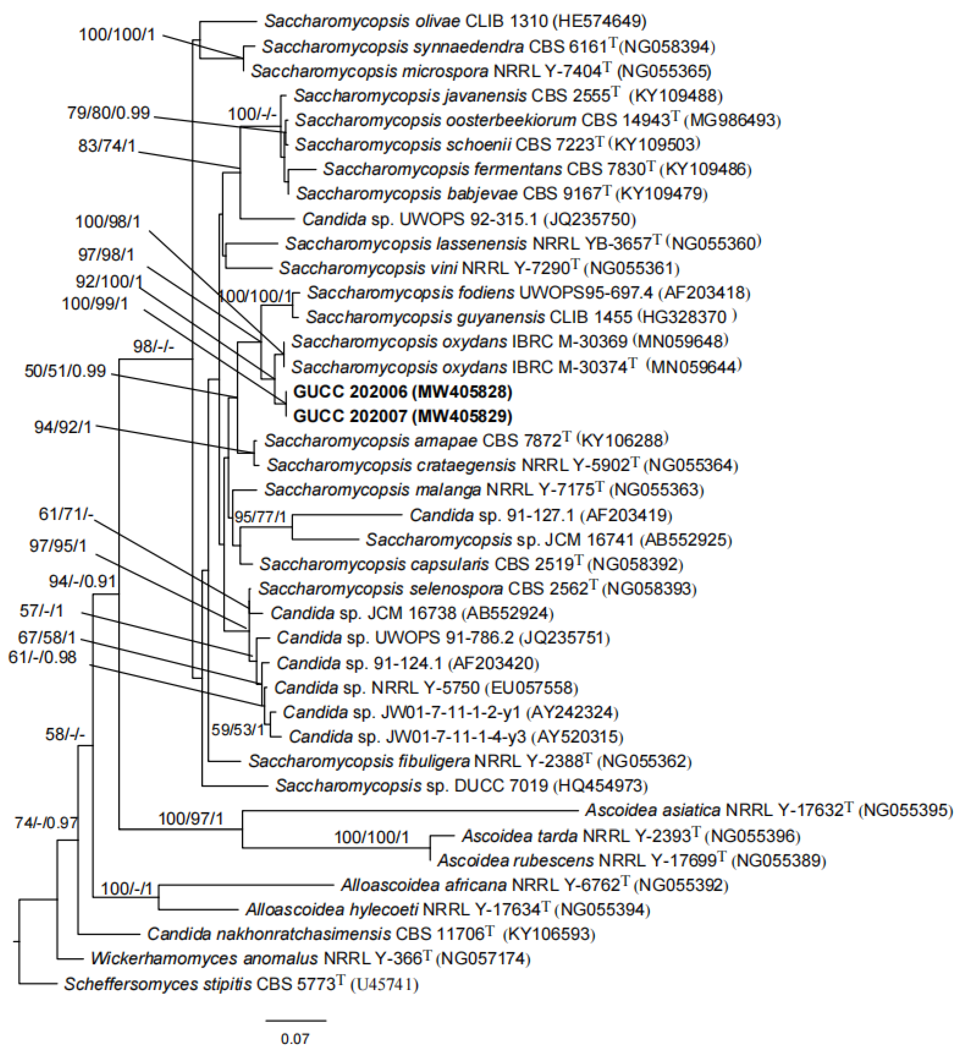 Jof 07 00707 g002 550