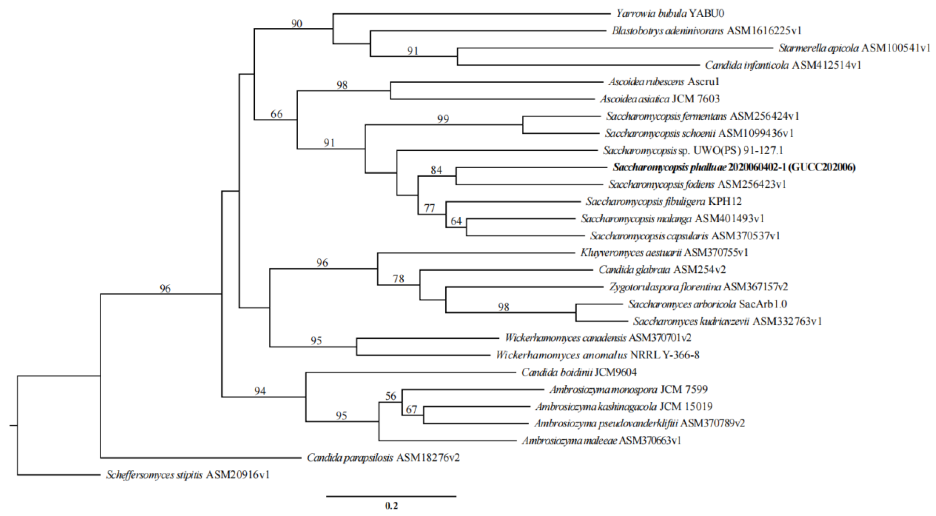 Jof 07 00707 g010 550