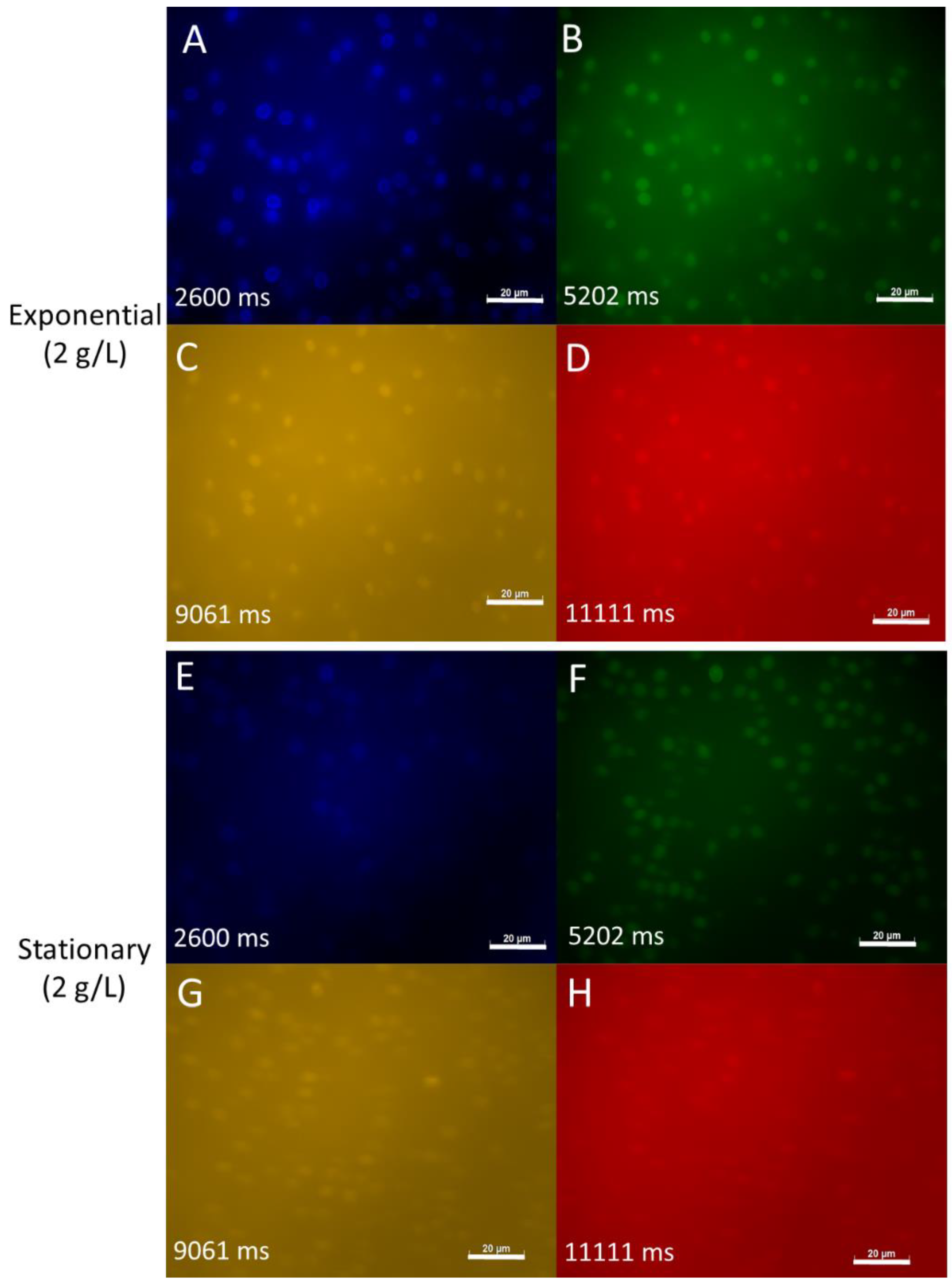 Jof 07 00709 g002 550