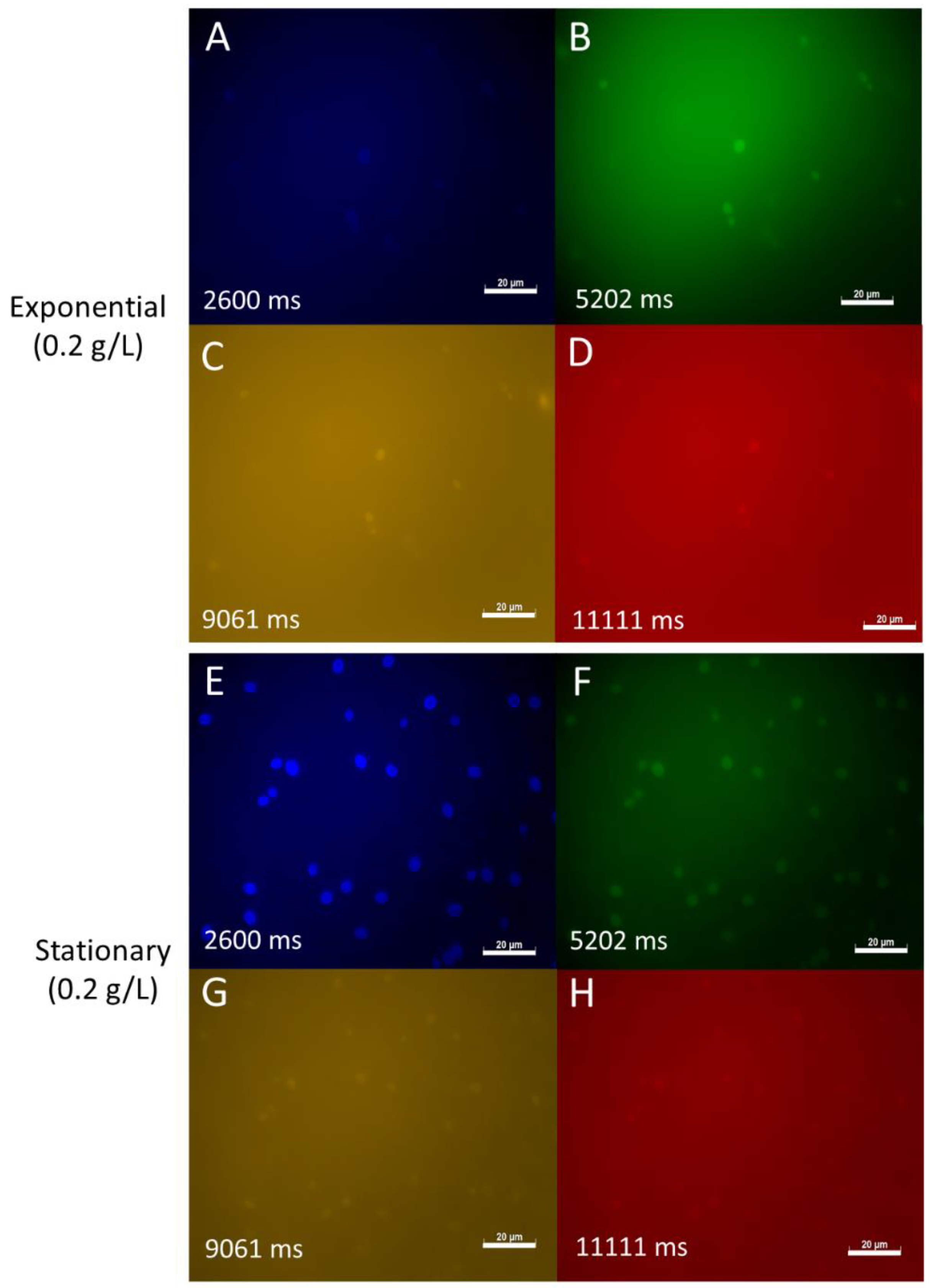 Jof 07 00709 g003 550