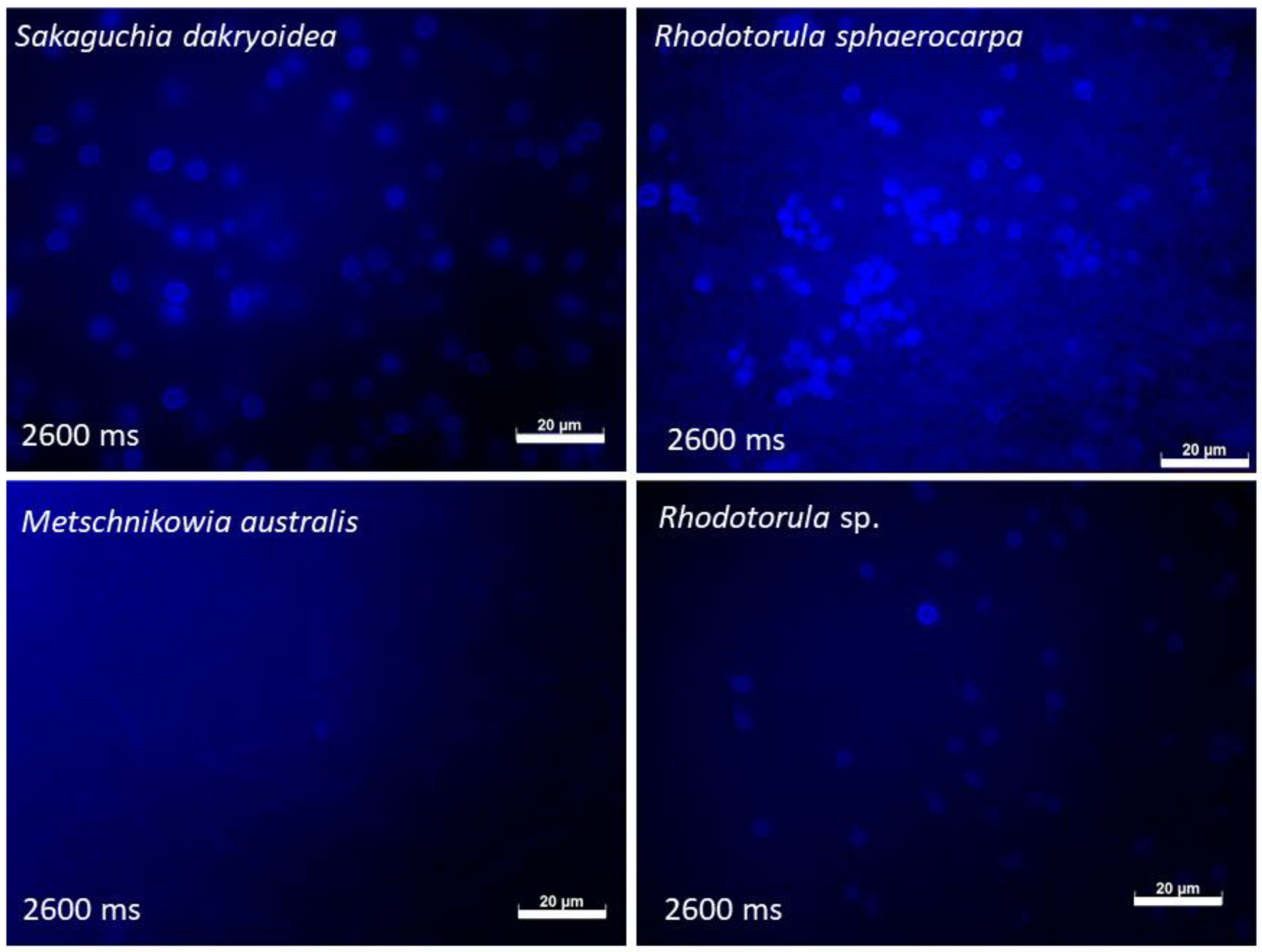 Jof 07 00709 g004 550