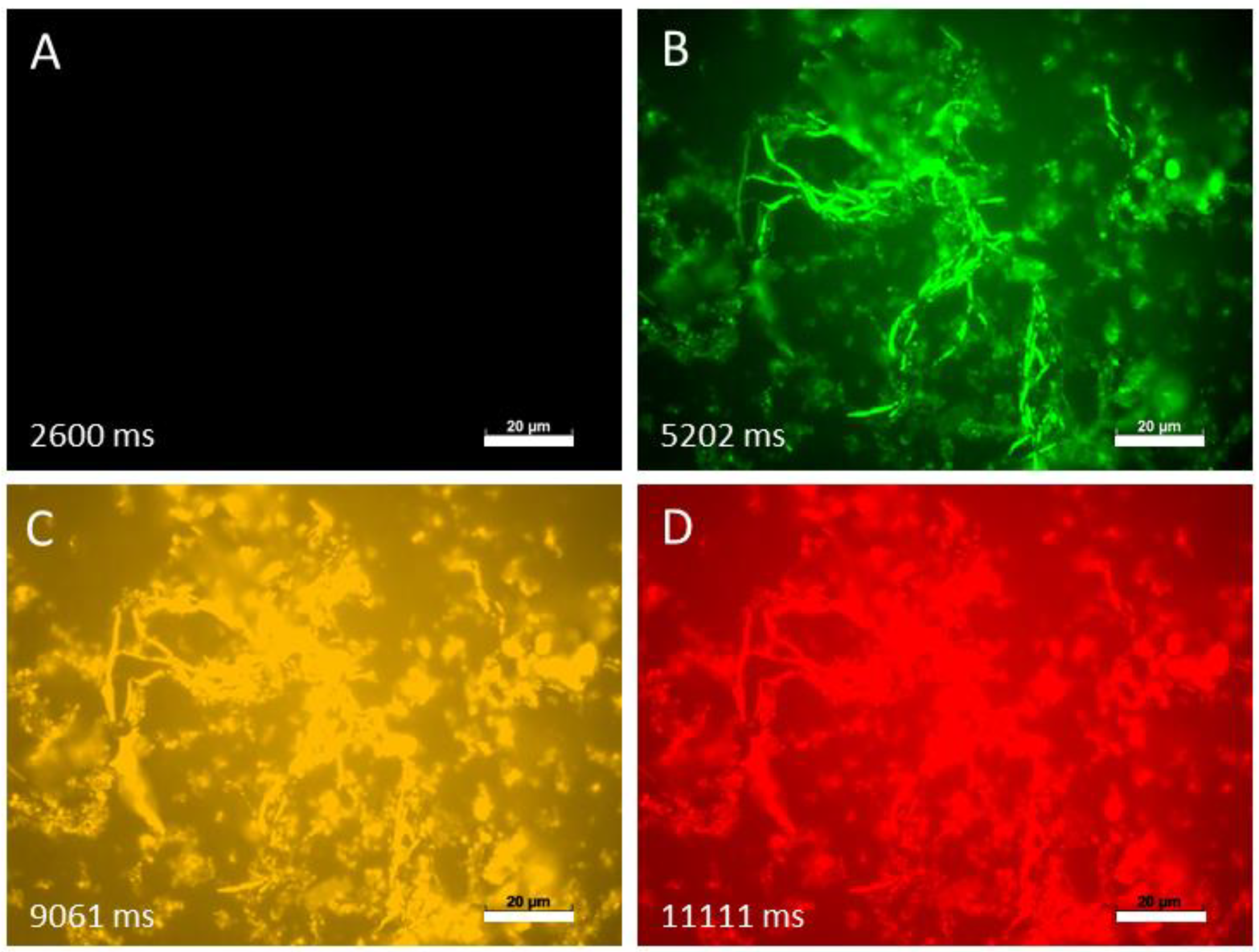 Jof 07 00709 g006 550